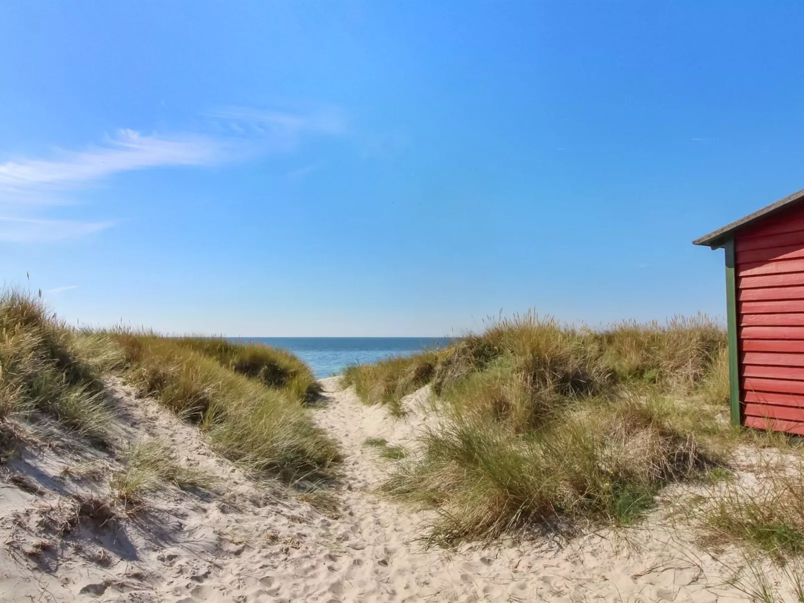 "Pisana" - 300m from the sea - Buiten