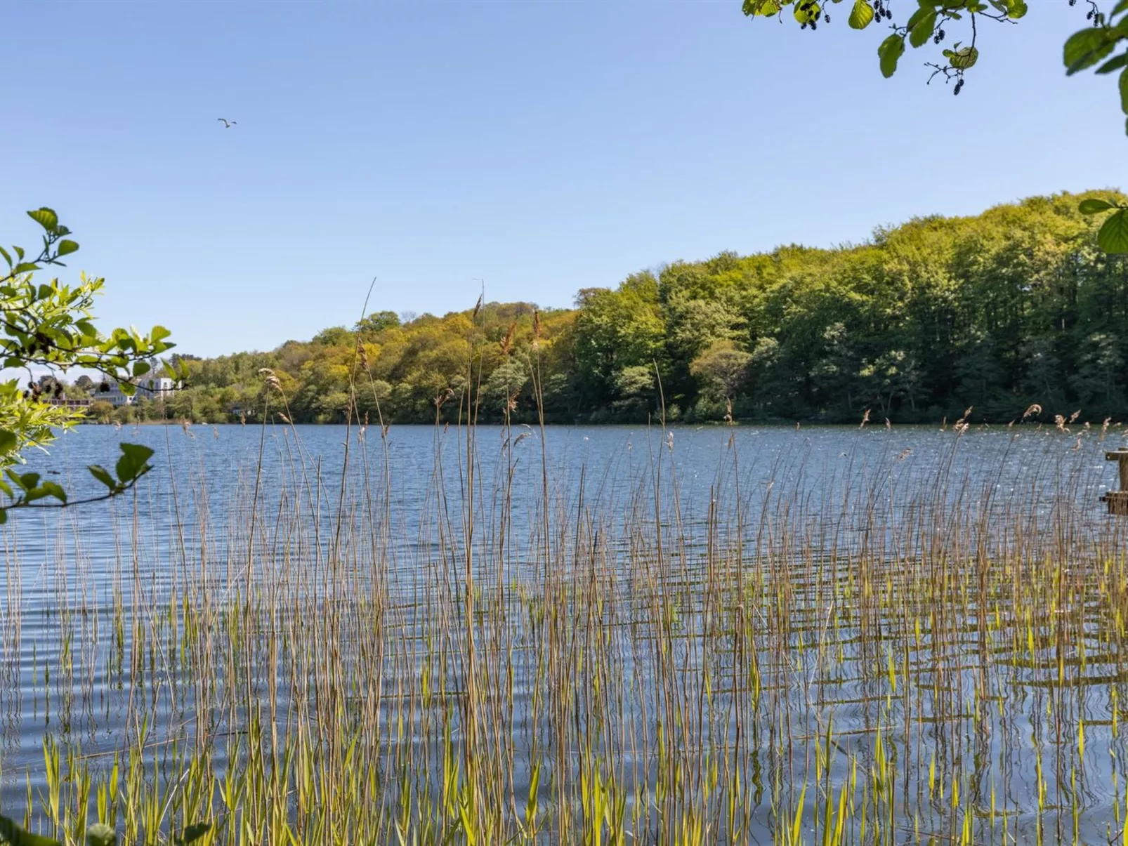 "Folki" - 300m from the sea - Buiten