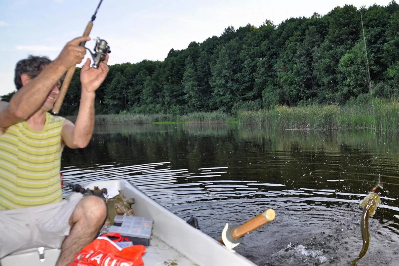 Kamienny Dom do 8 os Grąbczyn-Gebieden zomer 5km