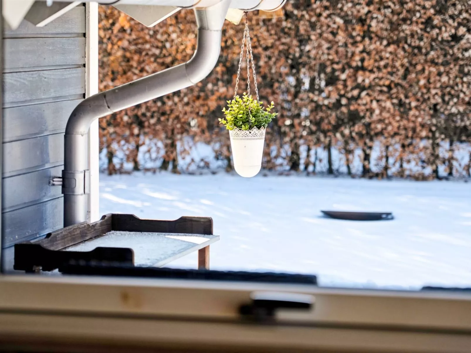 "Elenor" - 1.3km from the sea - Buiten