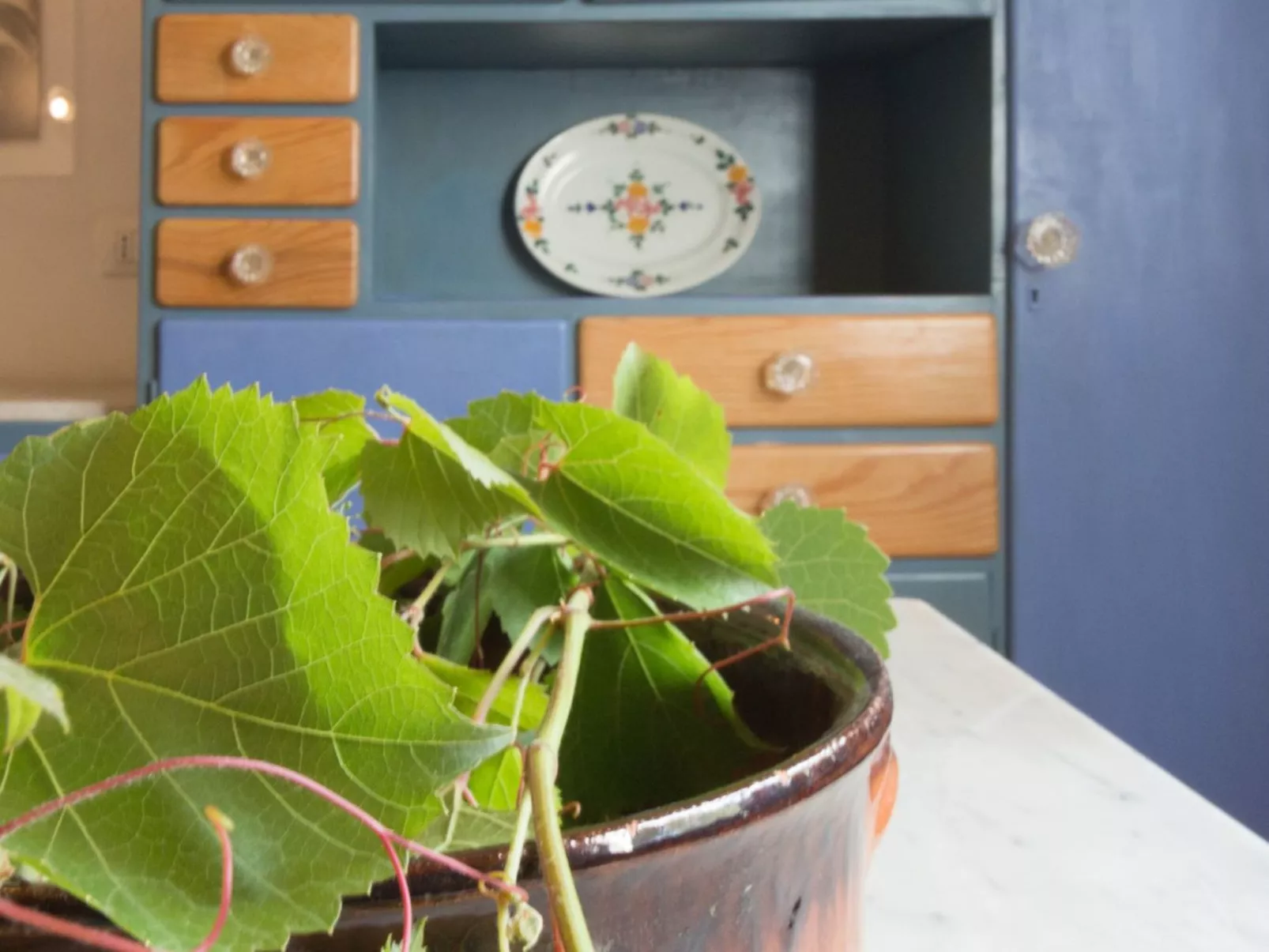 Tenuta "Carrubo" mit Wandkasten - Image-tags.info