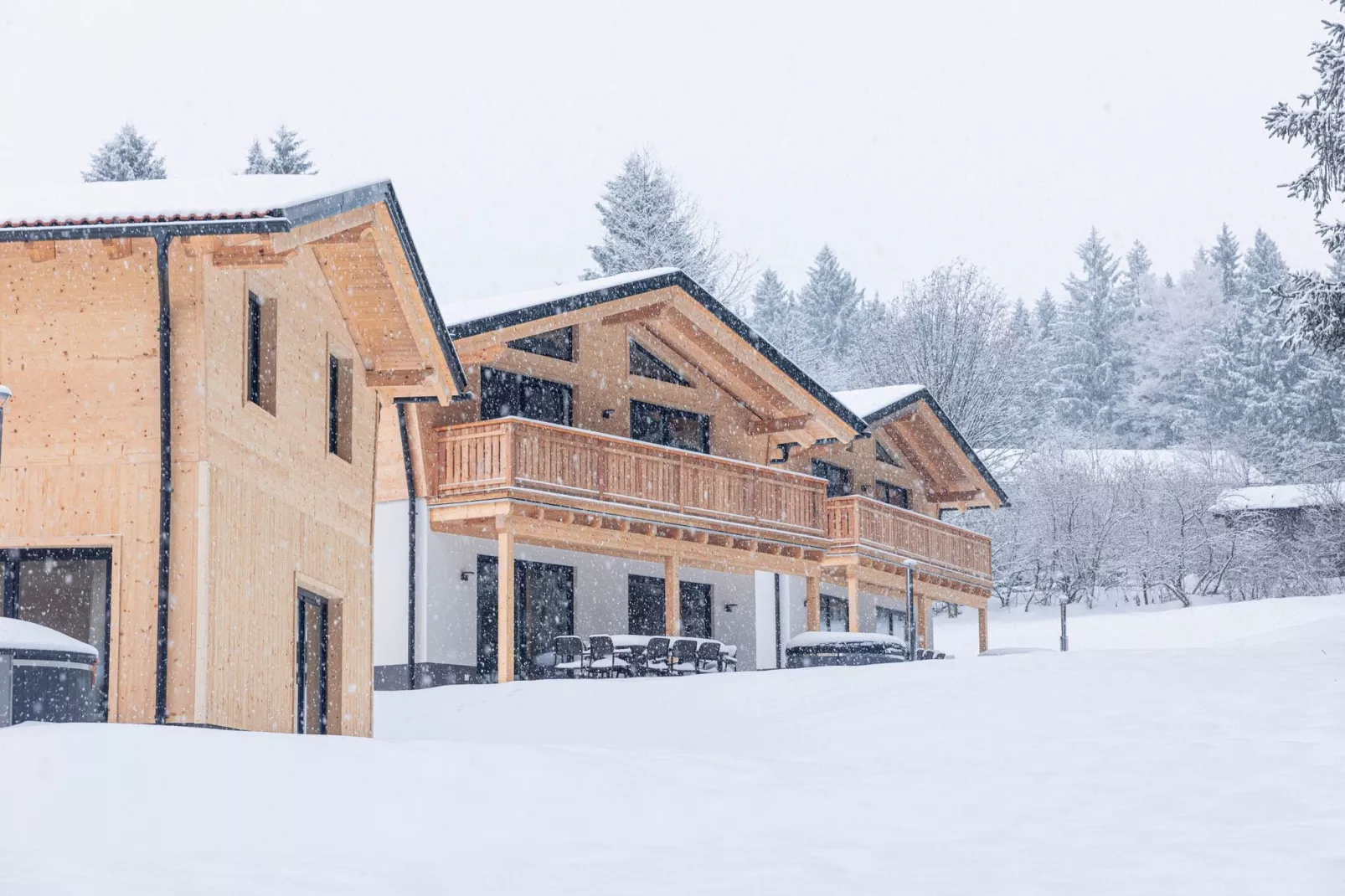 Chalet Arber Family 9 Pax-Exterieur winter