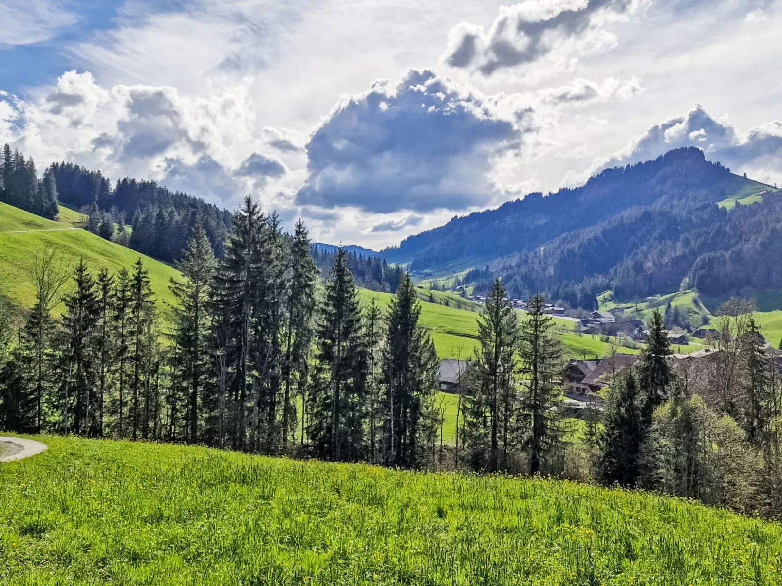 Rüttimätteli - Buiten