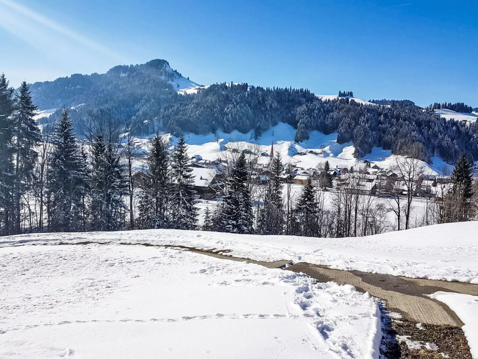 Rüttimätteli - Buiten