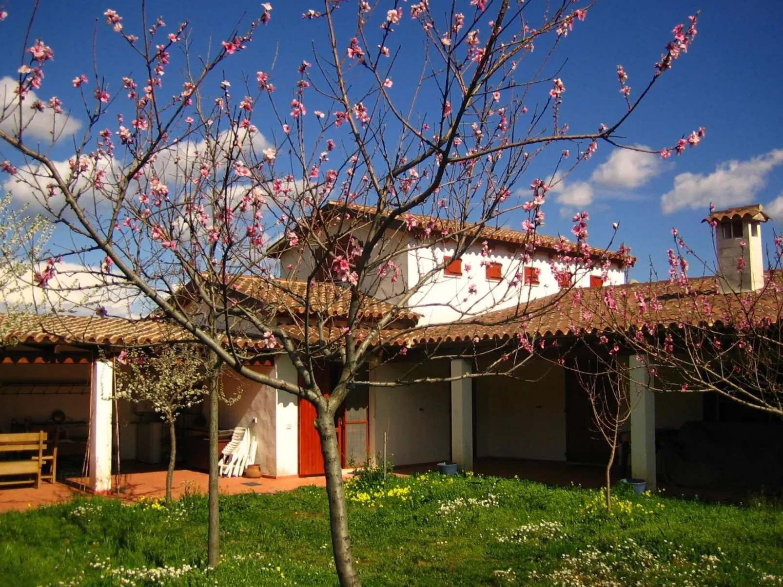 Tenuta "Carrubo" mit Wandkasten - Image-tags.info