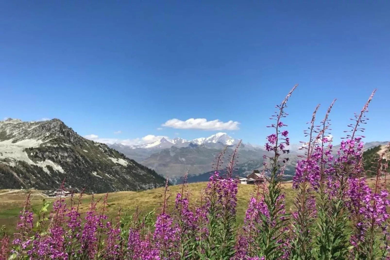 Chalet Altitude Arc 2000 6 - Gebieden zomer 20km