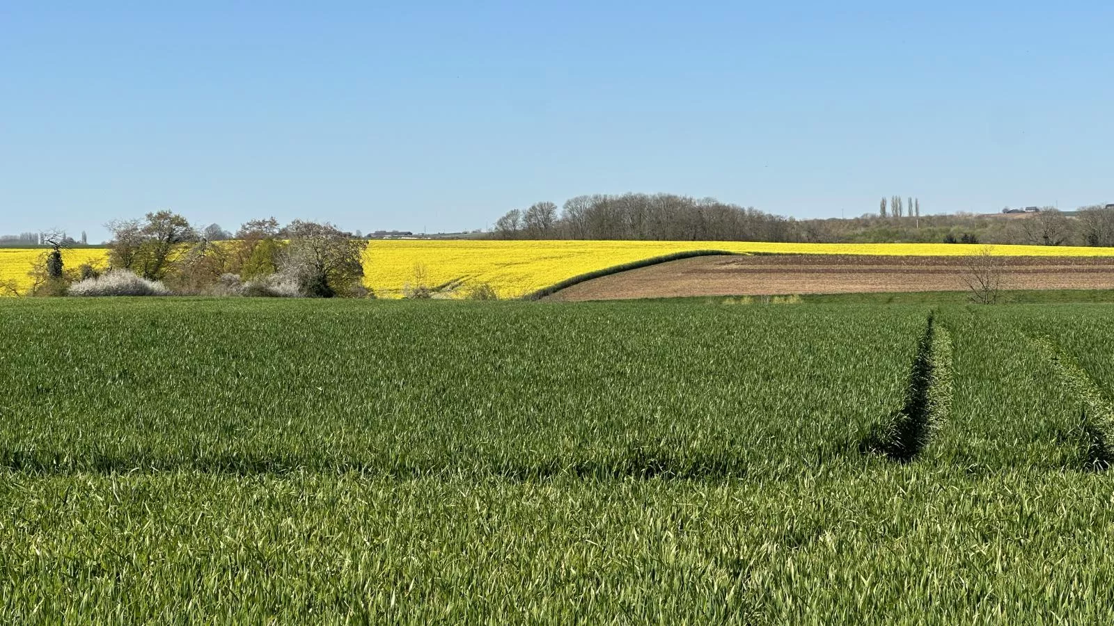 La Tour de la Chapelle