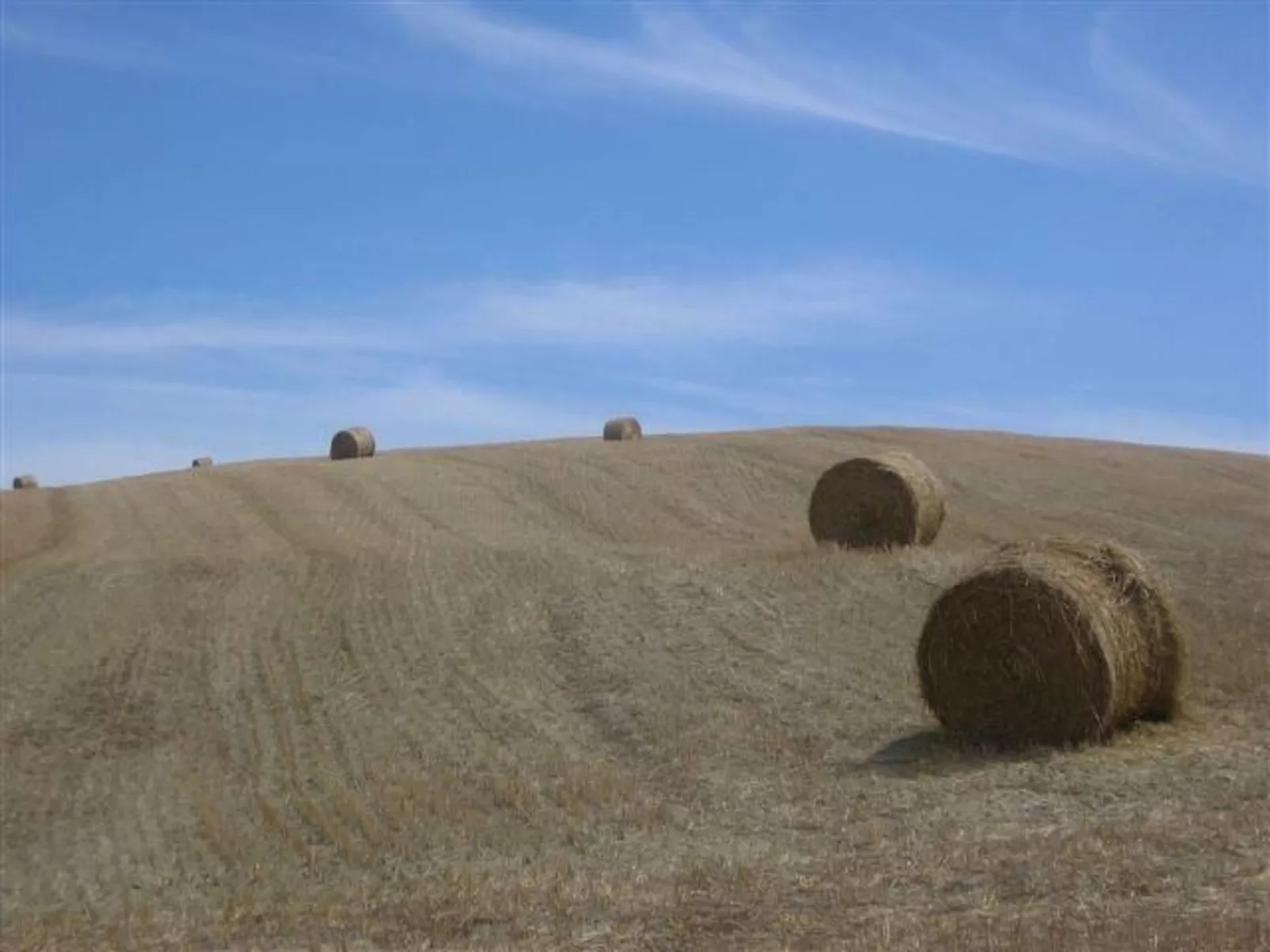 Tenuta "Carrubo" mit Wandkasten - Image-tags.info