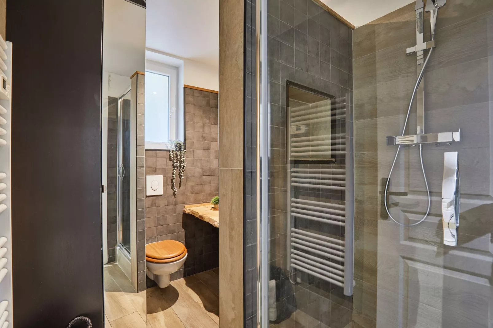 SEDAINE NEW - Niet-getagd