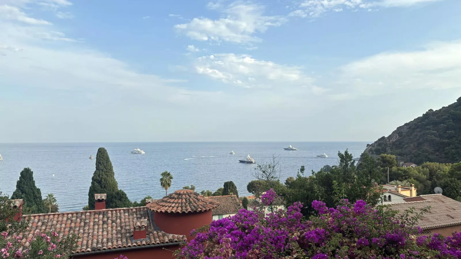 Paulette - Uitzicht zomer