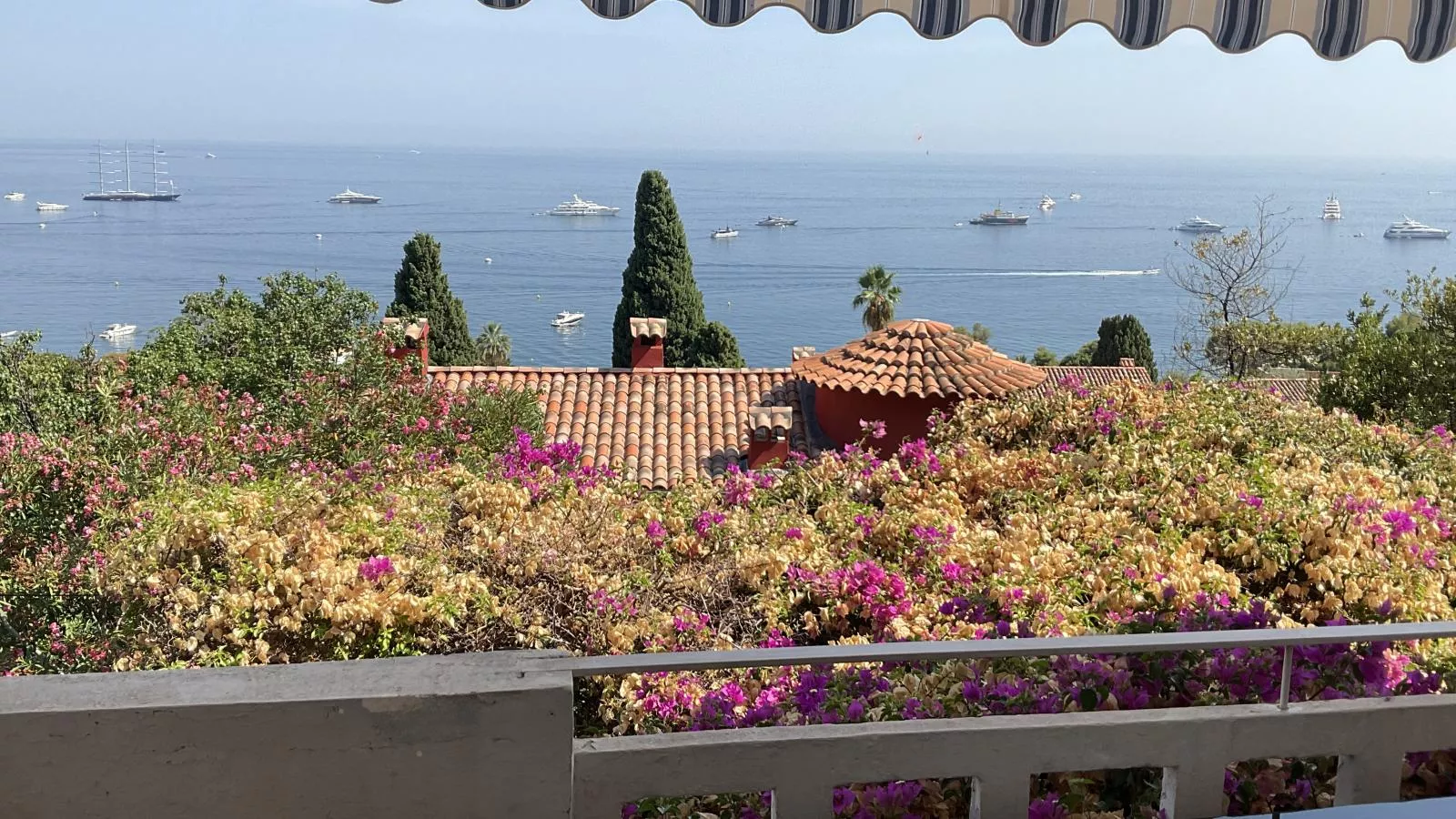 Paulette - Uitzicht zomer