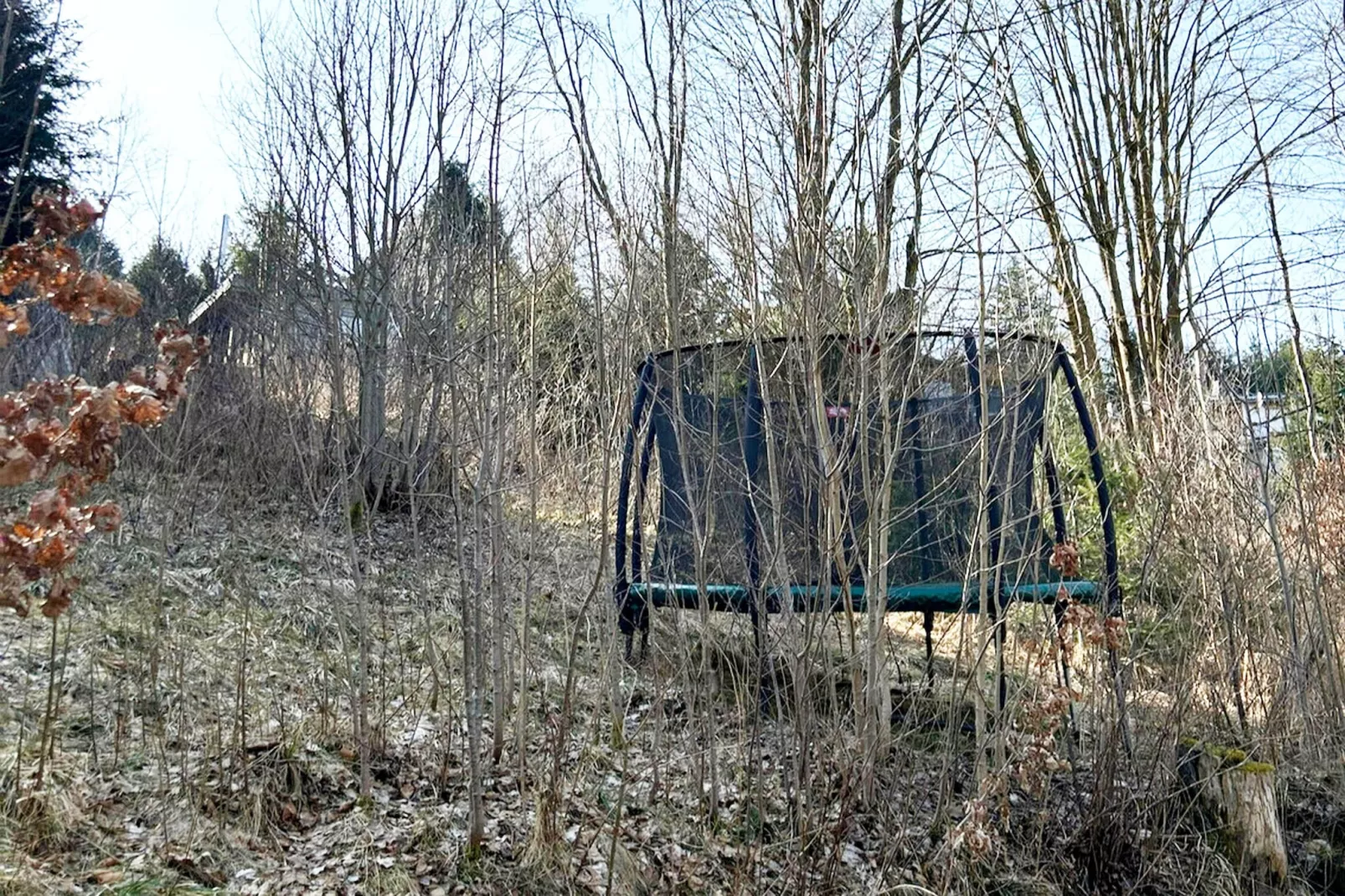 Modernes FERIENHAUS ALLRODE mit Wellness - Gebieden zomer 1km