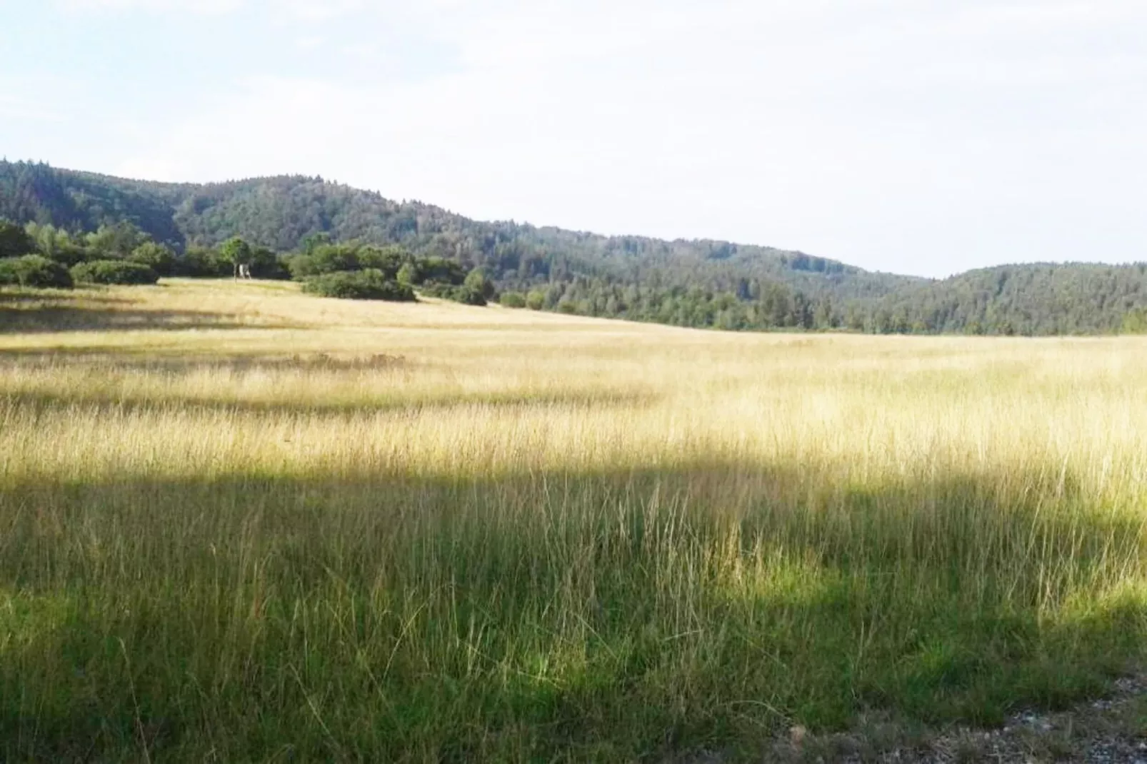 Modernes FERIENHAUS ALLRODE mit Wellness - Gebieden zomer 1km