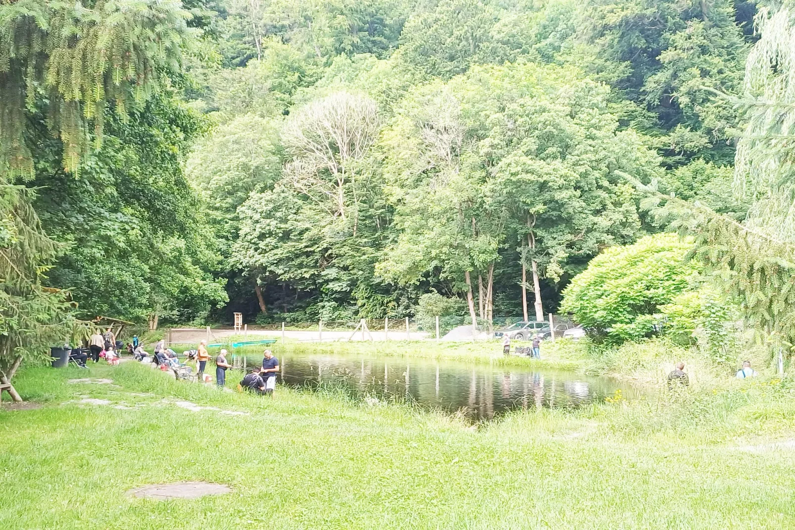 Modernes FERIENHAUS ALLRODE mit Wellness - Gebieden zomer 1km