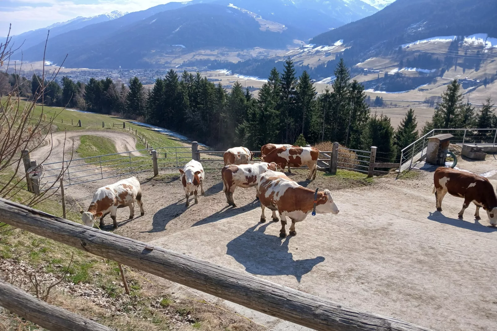 Schlossblick - Uitzicht zomer