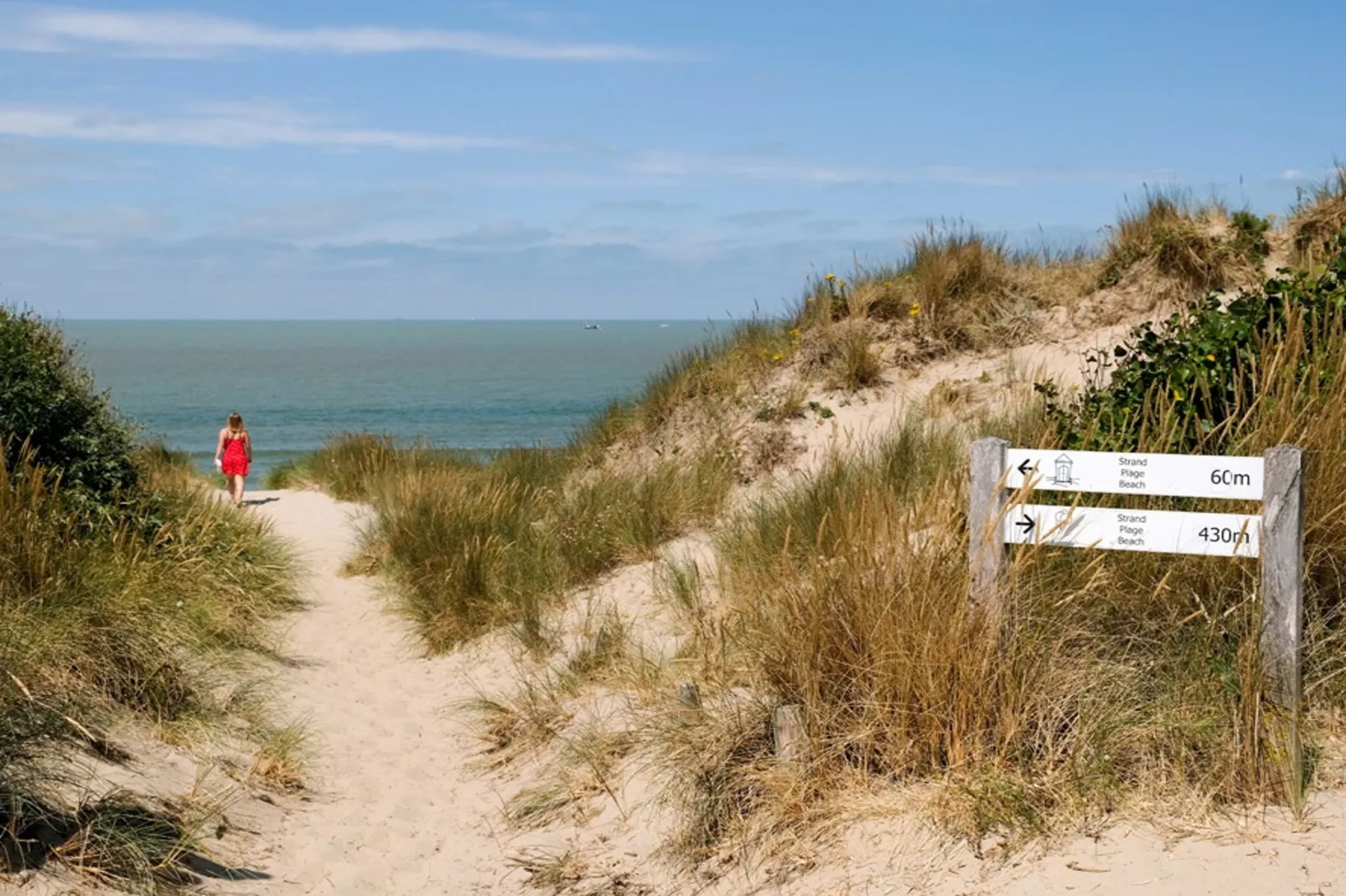 Le Marlin - Gebieden zomer 1km