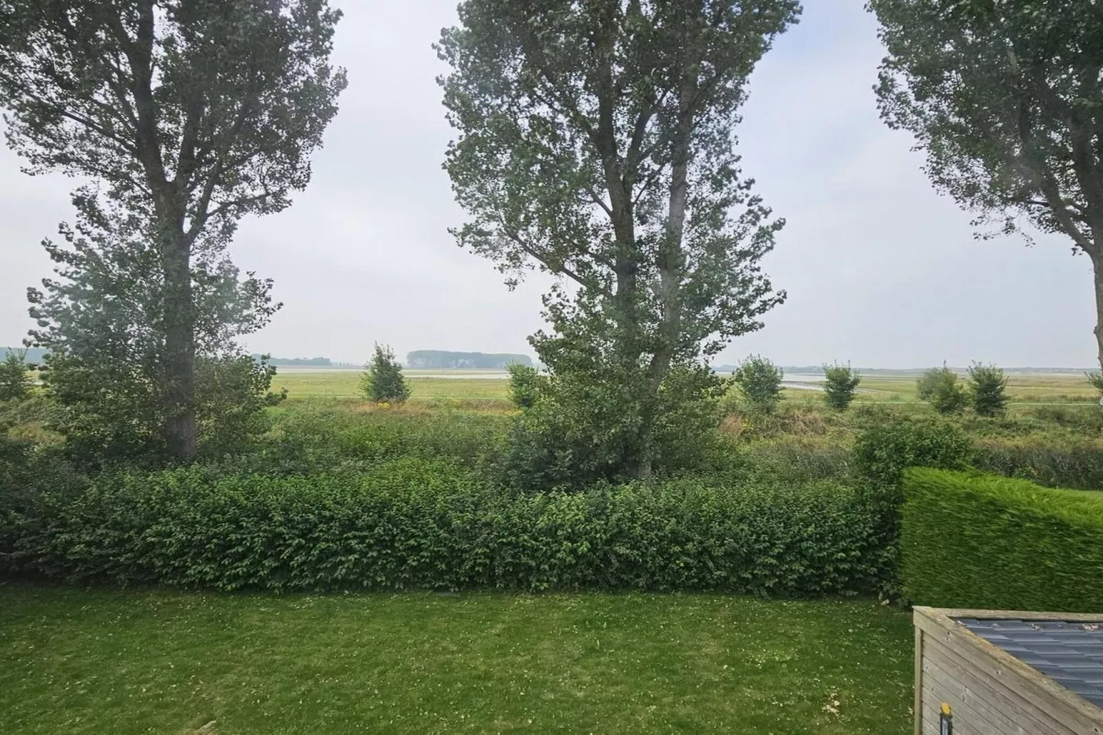 Schoneveld 176 Zeemeeuw Breskens - Tuinen zomer