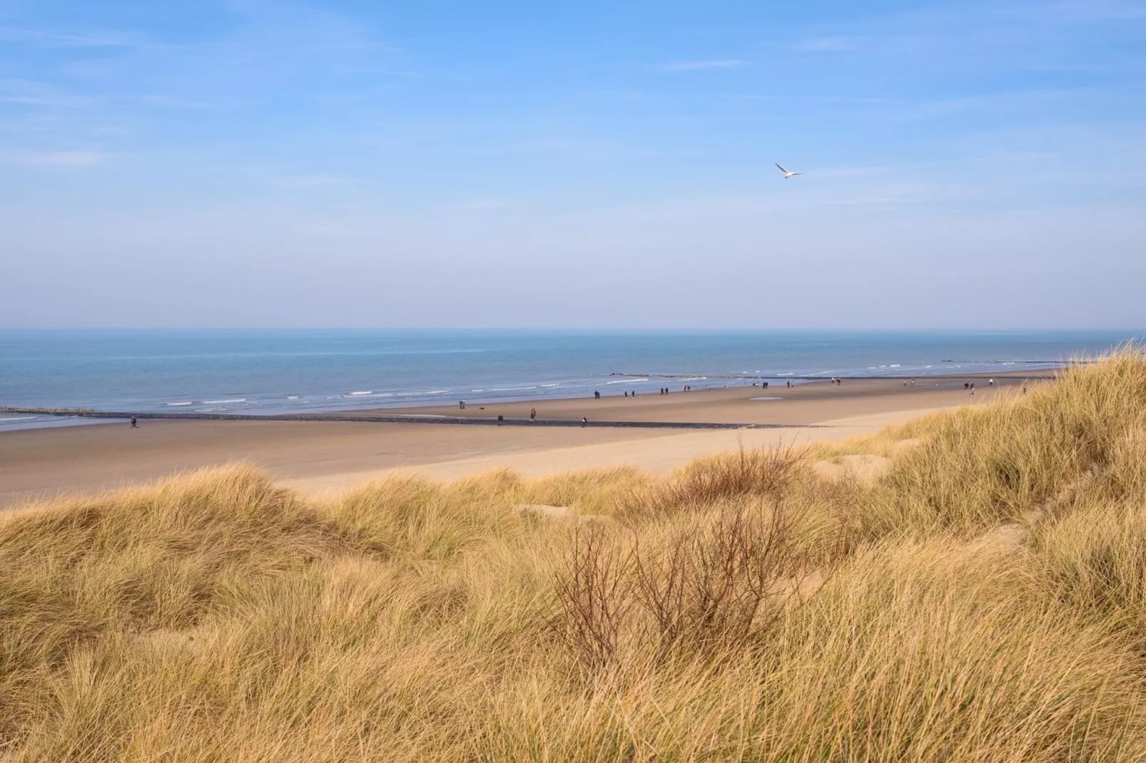 Le Marlin - Gebieden zomer 1km