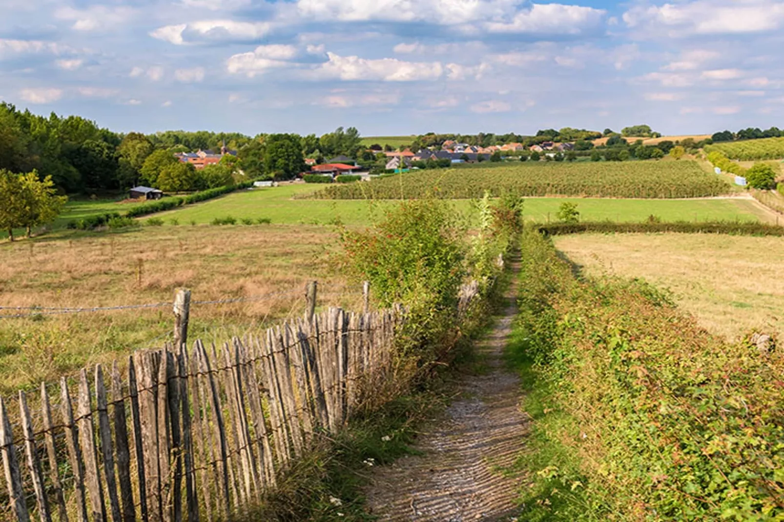 Heers Boven - Gebieden zomer 5km
