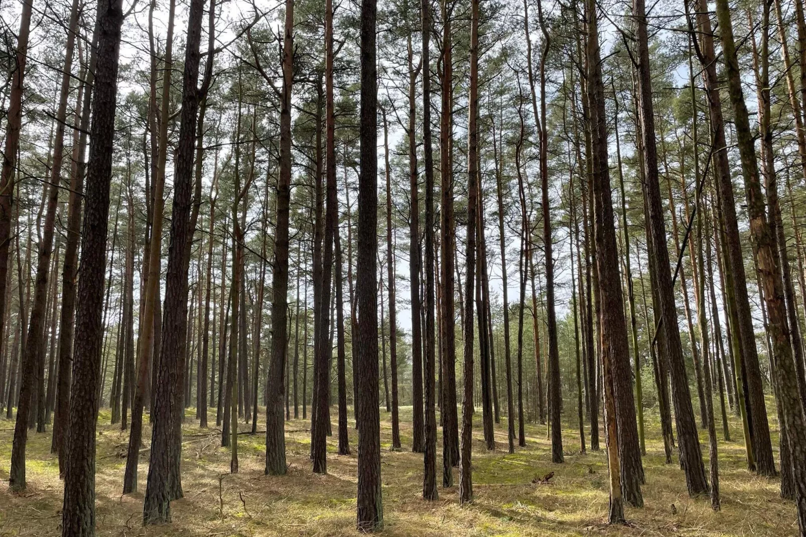 4 sterren vakantie huis in YNGSJÖ-By Traum-Binnen