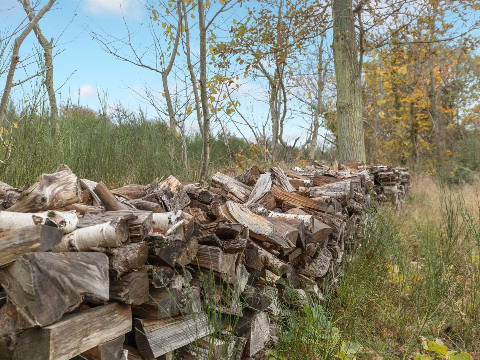 "Aida" - 400m from the sea - Buiten