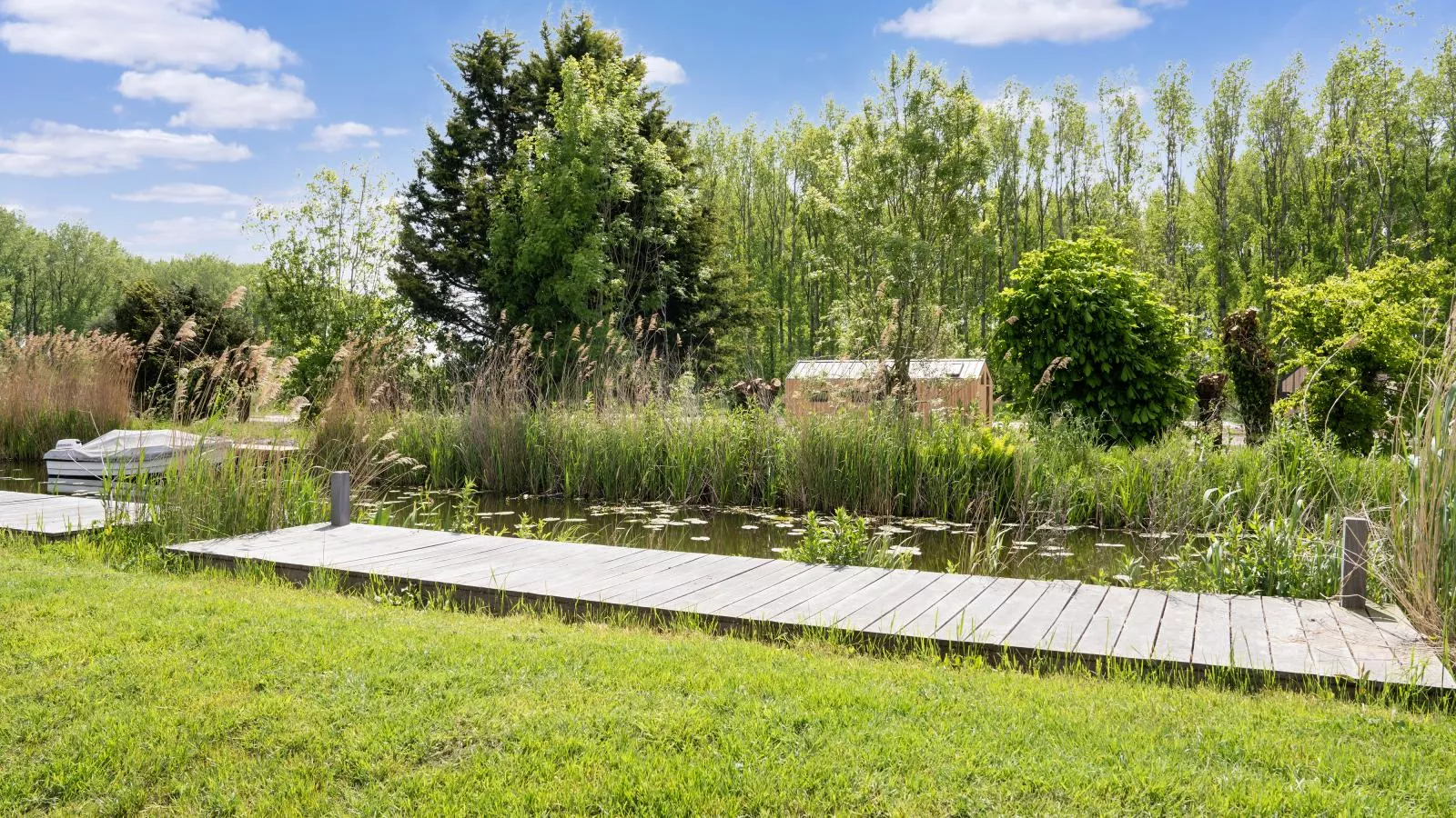 Amsterdam - Uitzicht zomer
