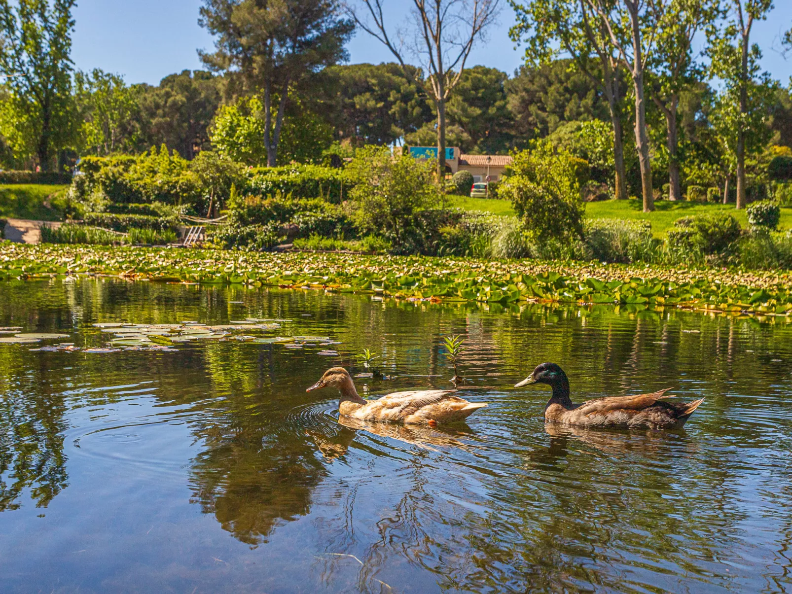 Le Grand Large - Buiten
