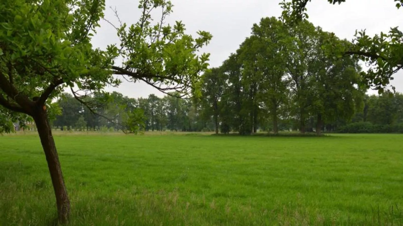 Huus in t Hagt - Uitzicht zomer