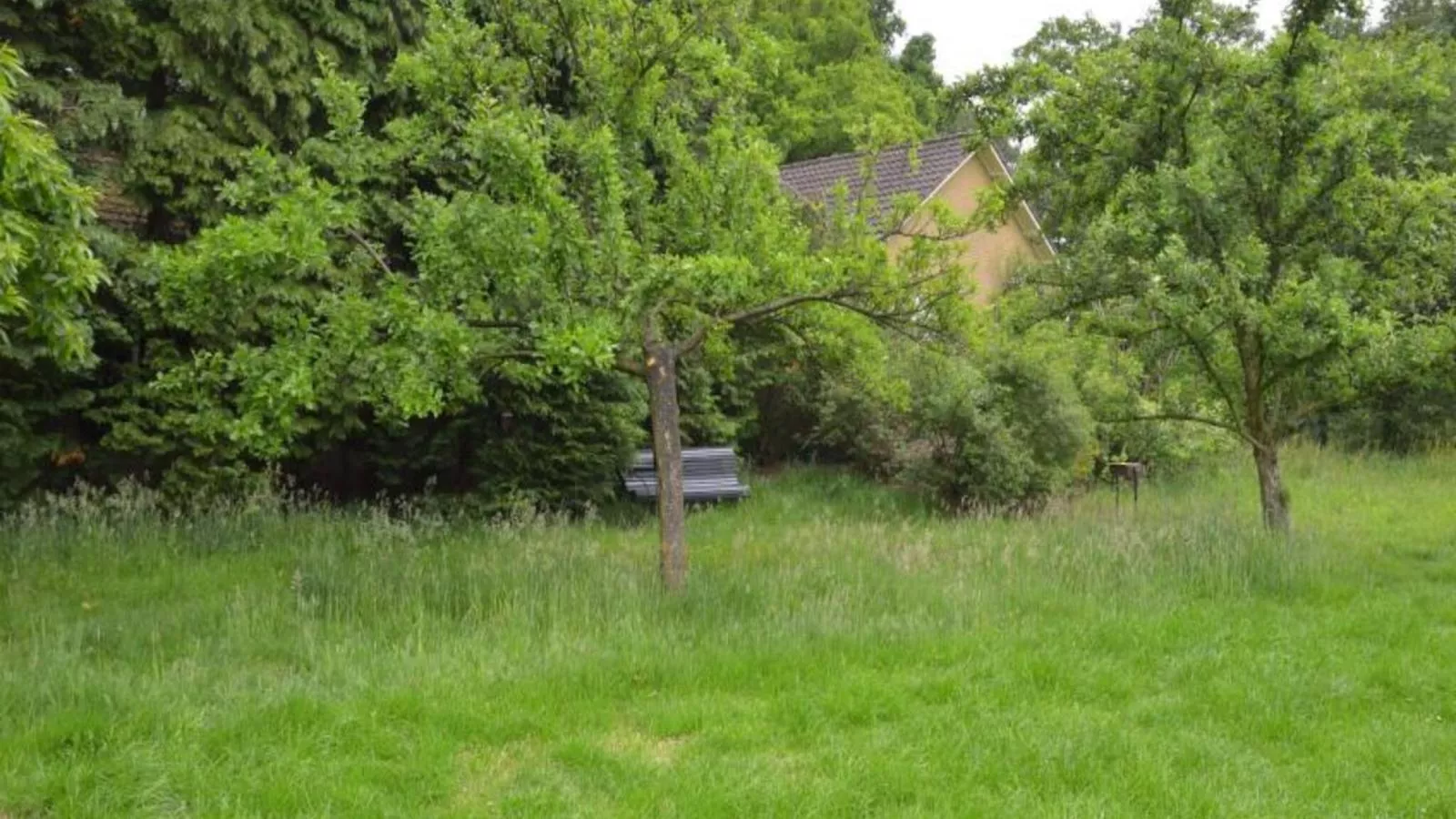 Huus in t Hagt - Uitzicht zomer