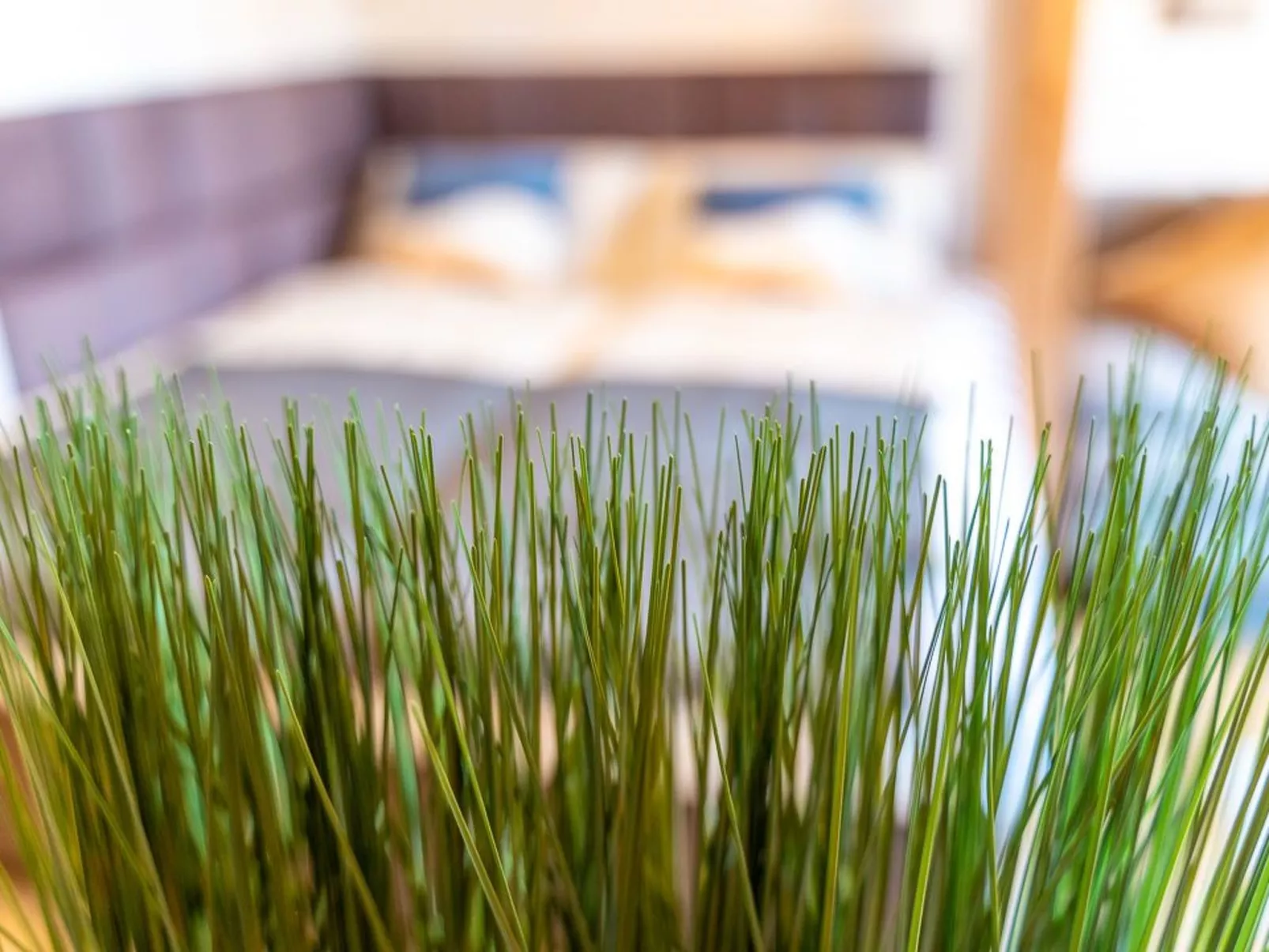 Golden Nugget - Binnen