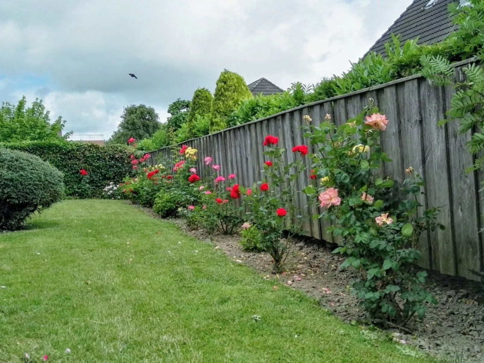 Haus Meeresbrise Wohn.Nr. 7 mit Balkon - Buiten