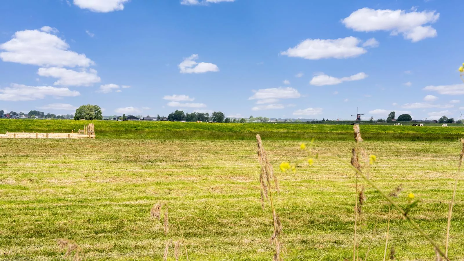 Bollen - Uitzicht zomer