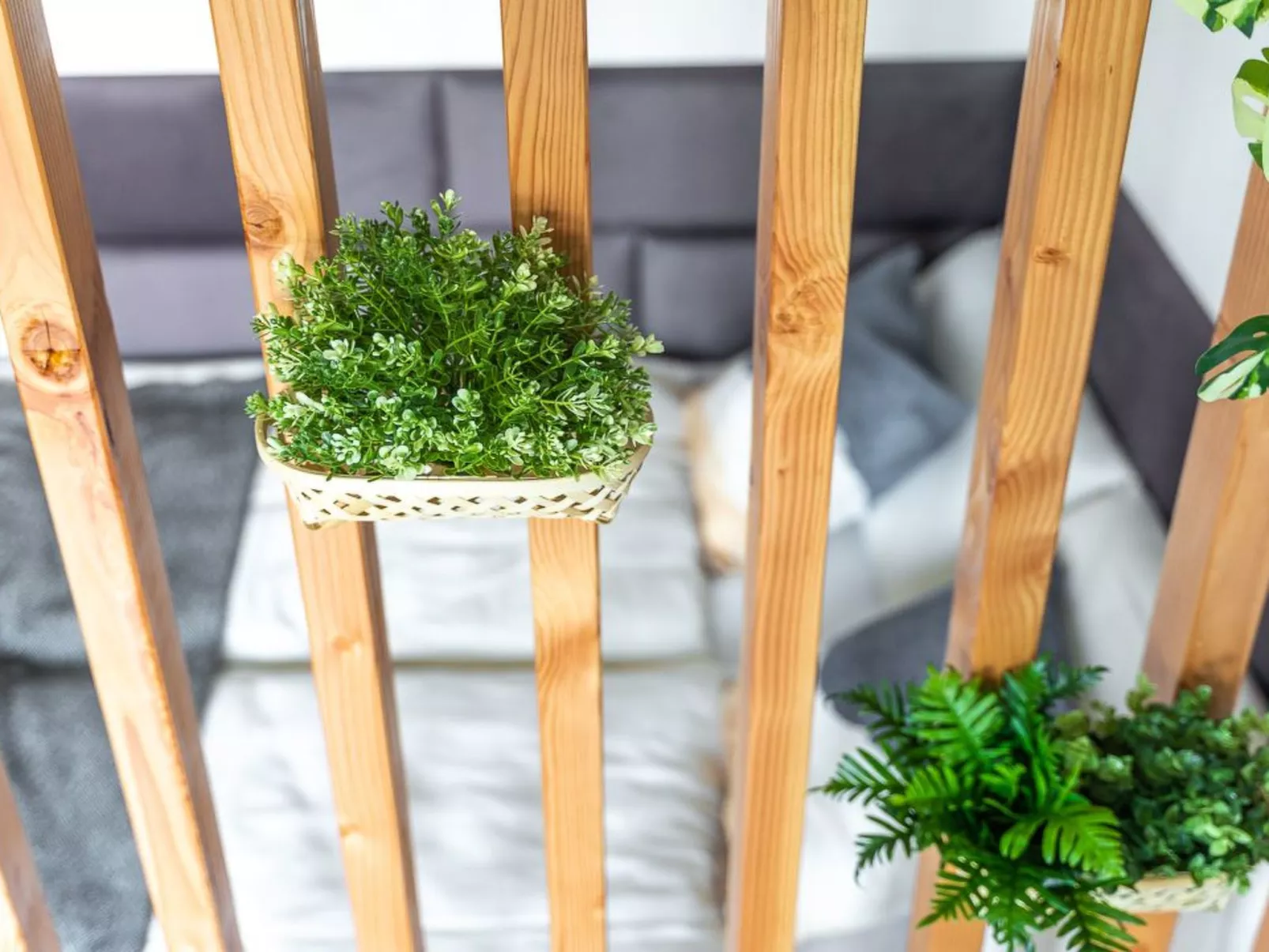 Golden Nugget - Binnen