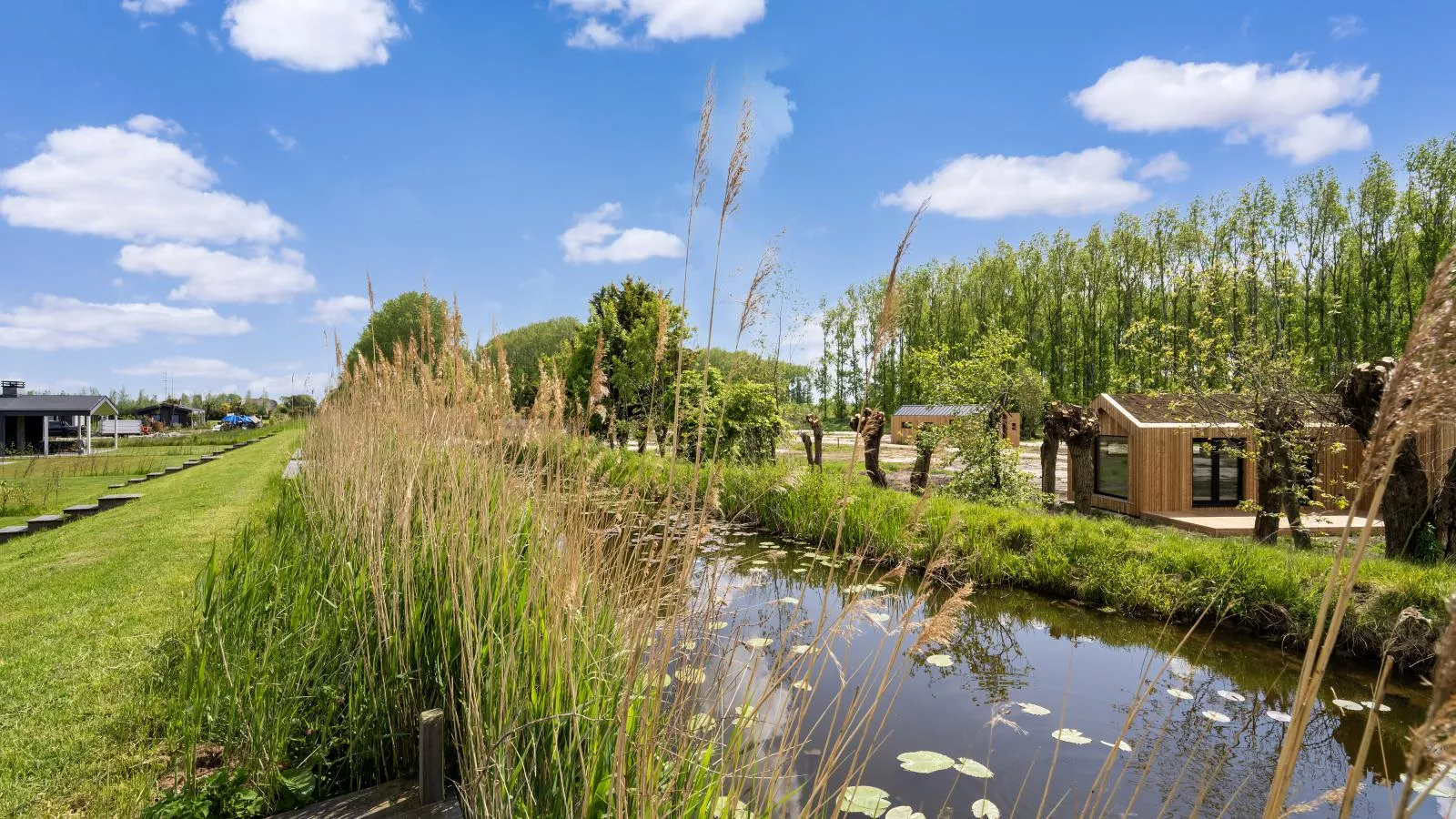 Strand - Uitzicht zomer