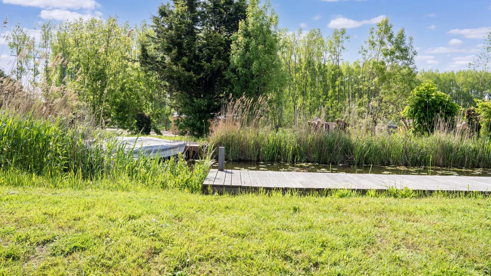 Polder - Uitzicht zomer