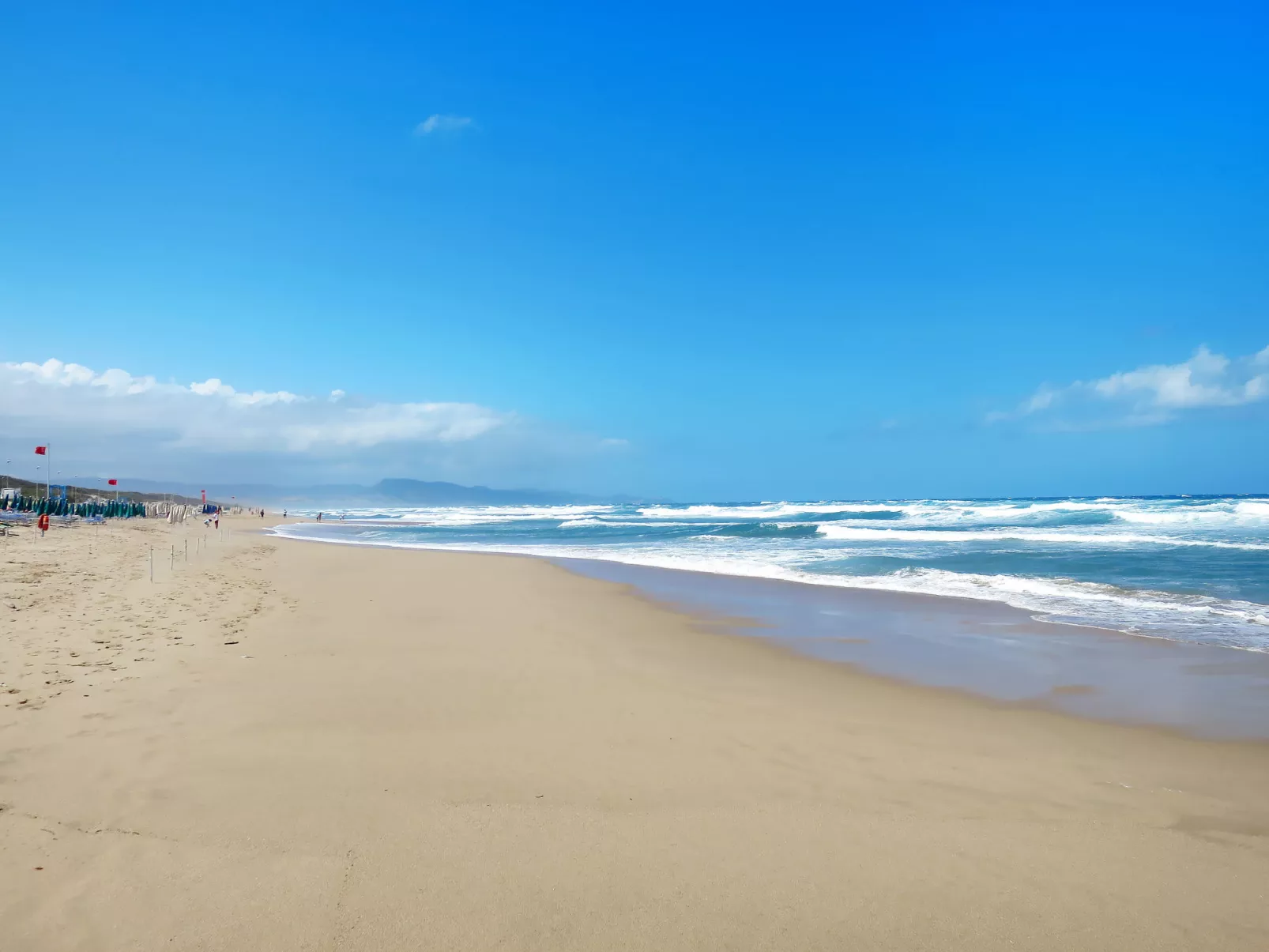 Sunflowers - Omgeving