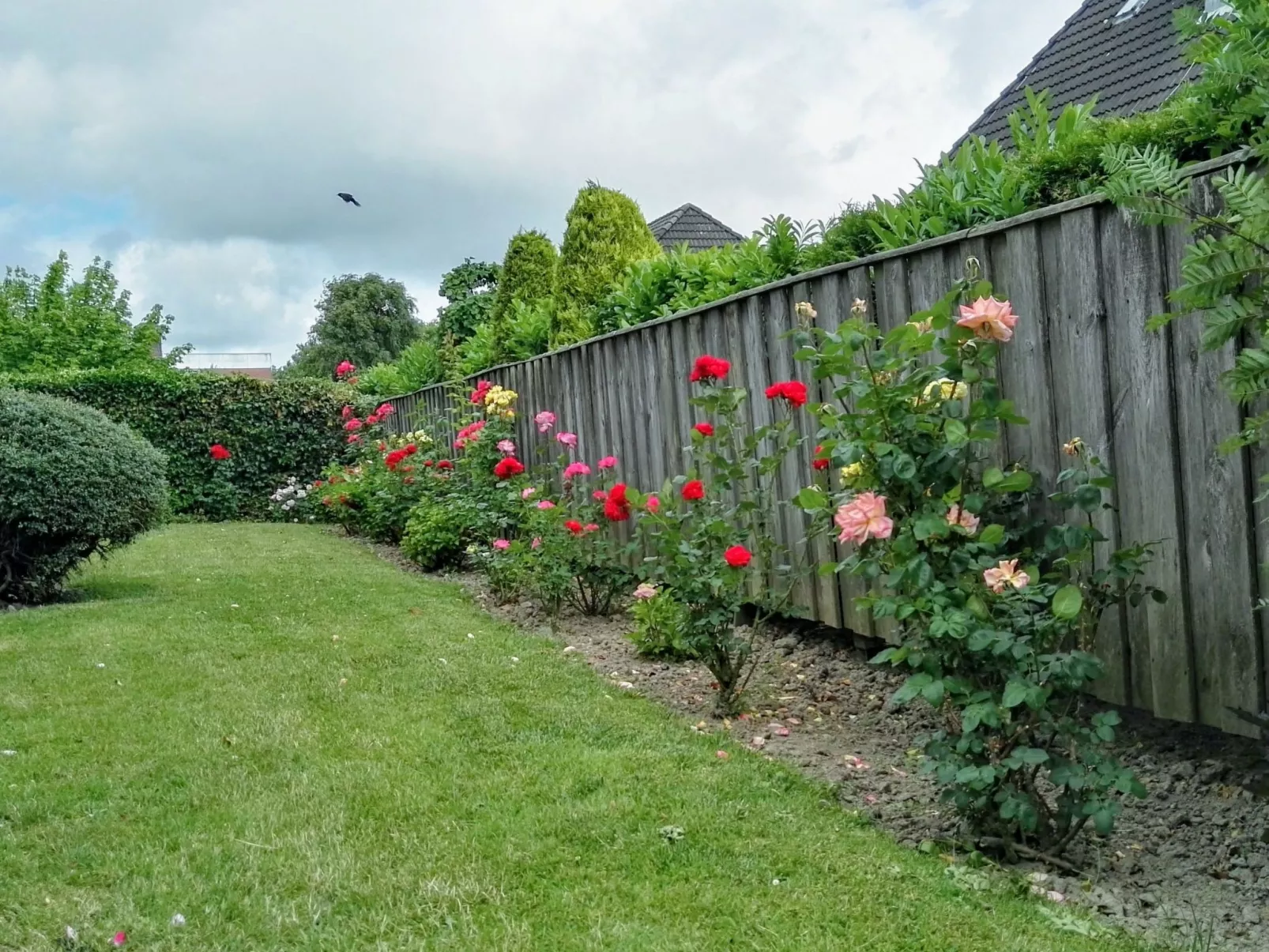 Haus Meeresbrise Wohn. Nr 6 mit Terrasse (copy) (copy) - Buiten