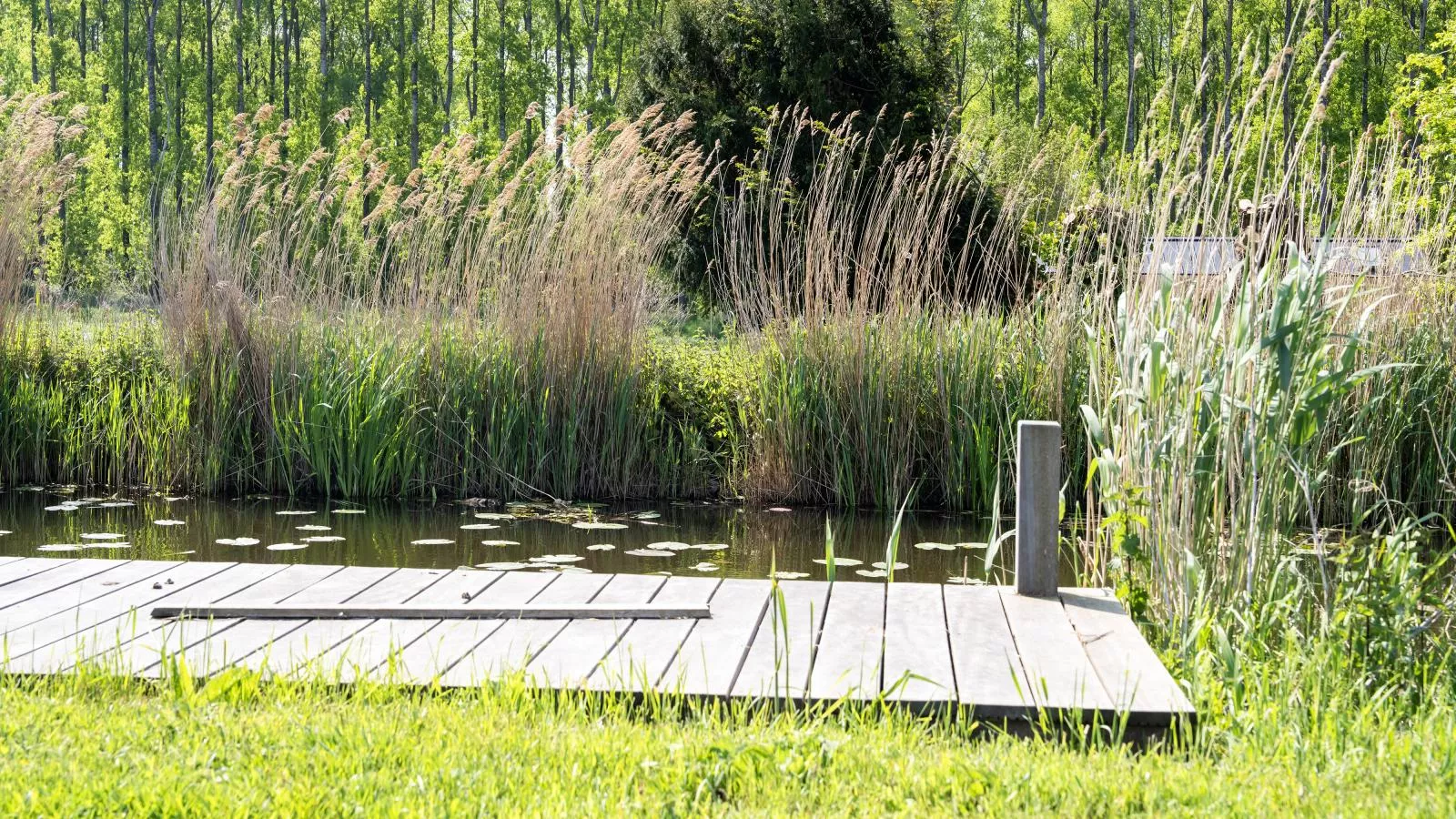 Leiden - Faciliteiten
