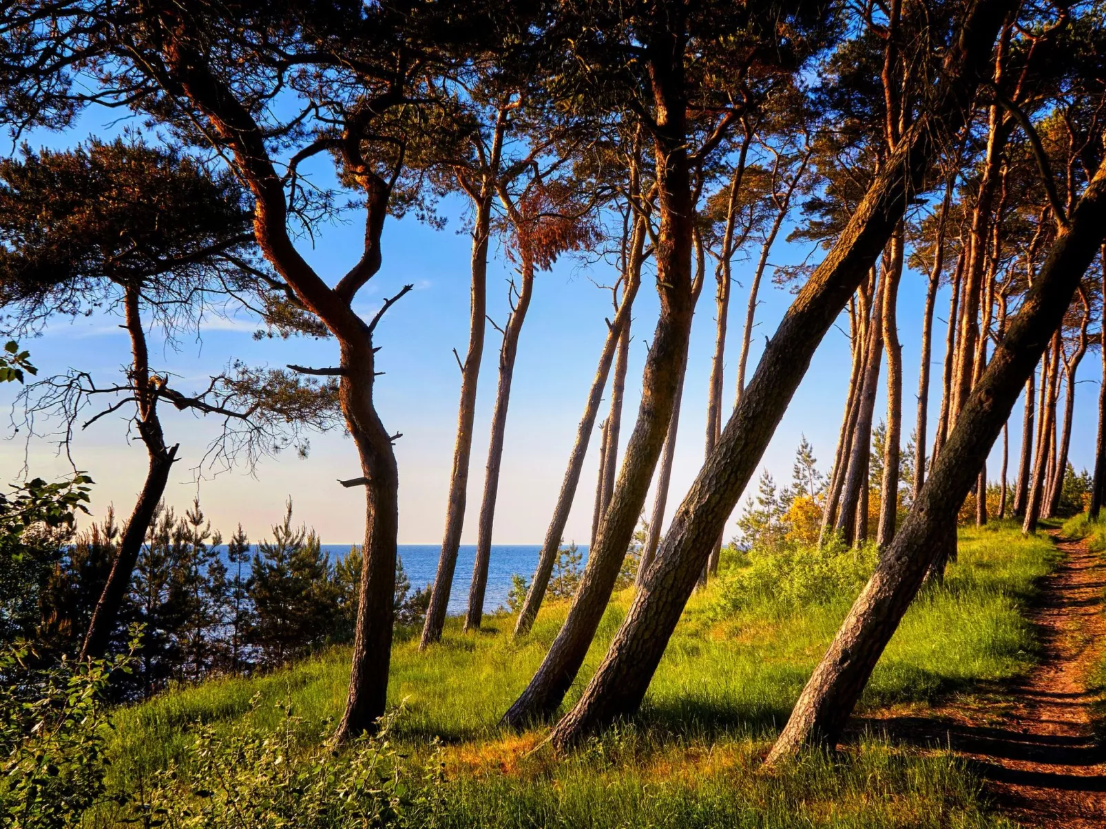 Hey Beachvilla - Buiten