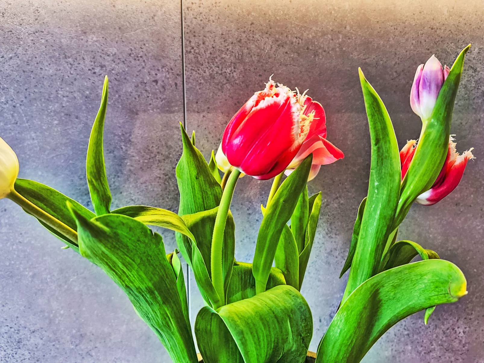 Panoramablick Tauern - Binnen