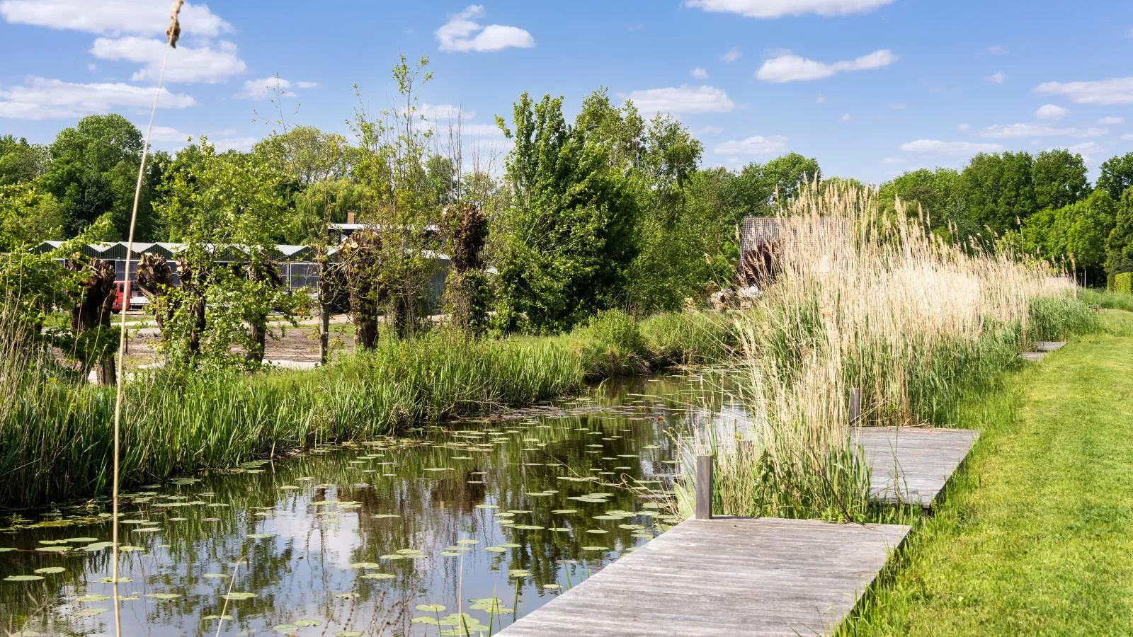 Polder - Uitzicht zomer