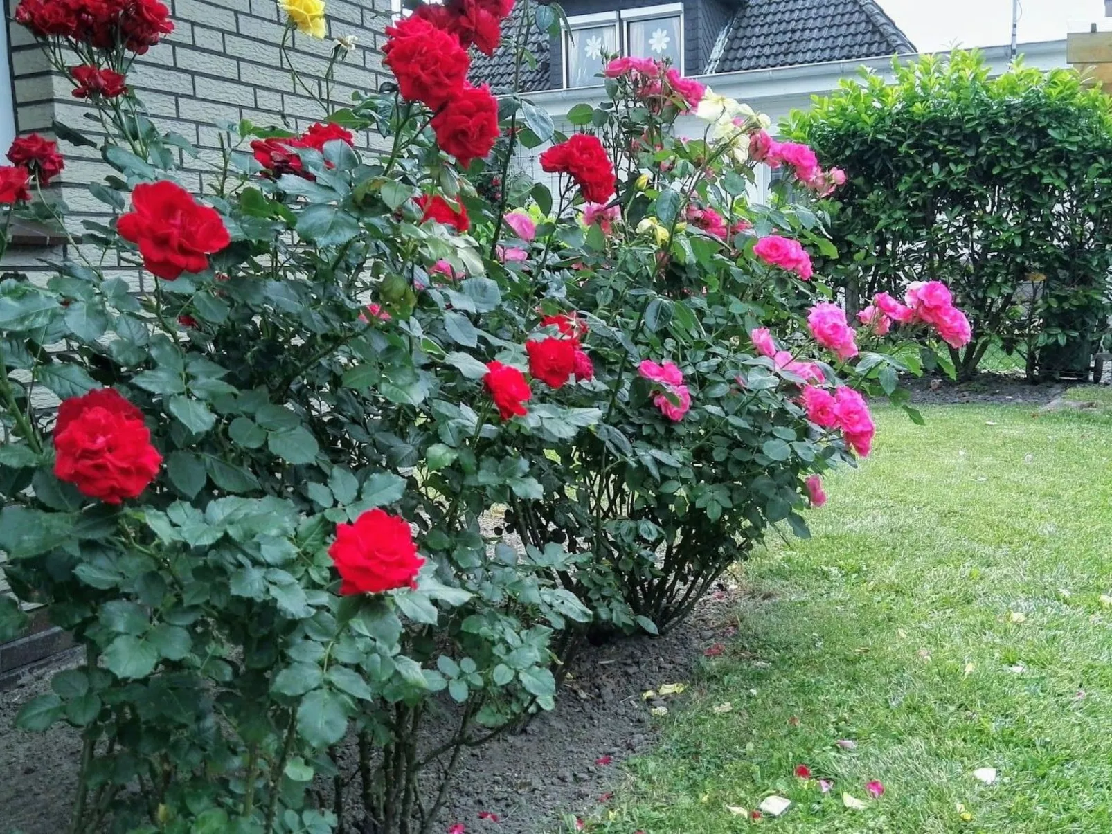 Haus Meeresbrise Wohn.Nr.4 mit Balkon - Buiten