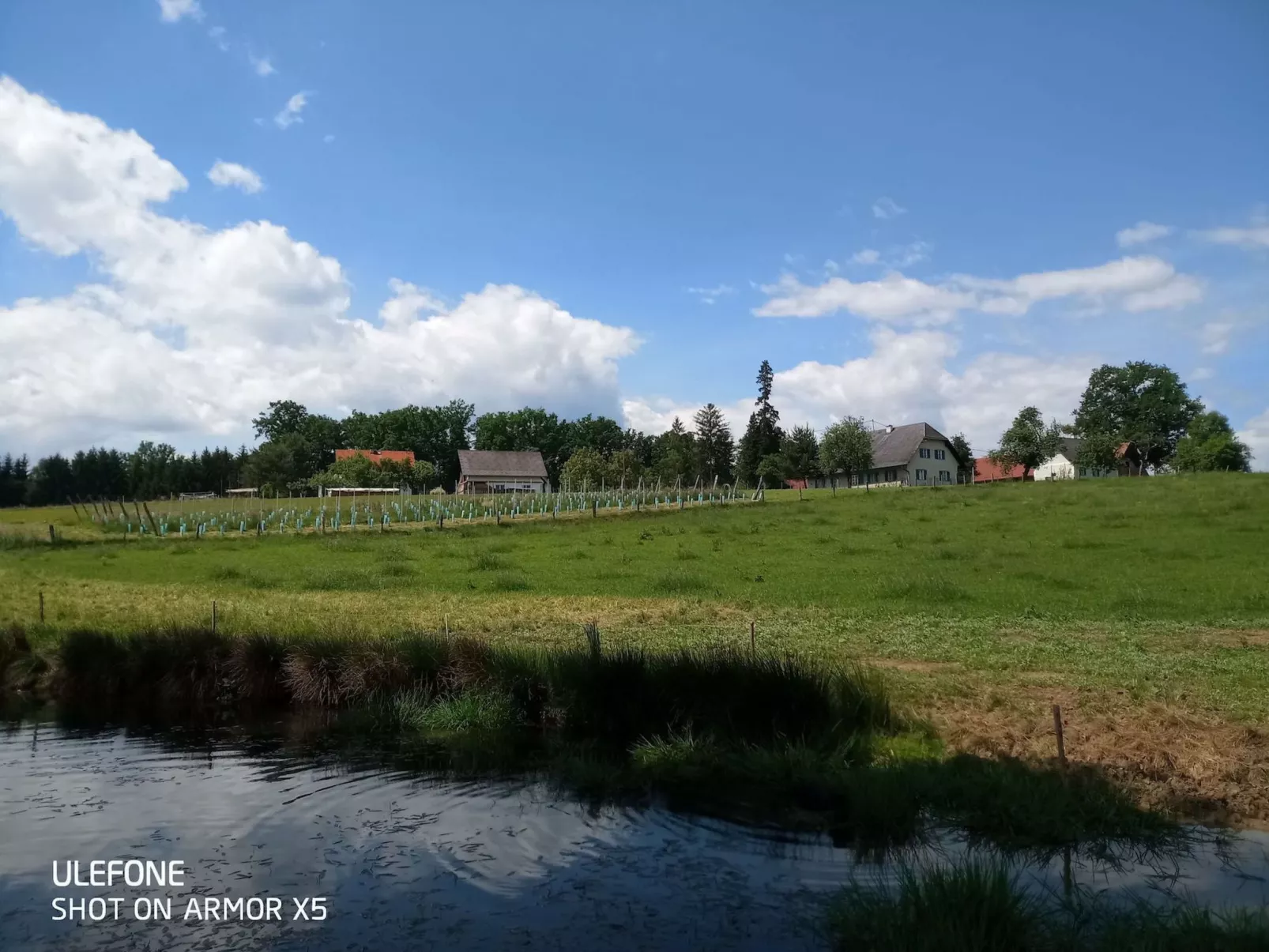Kellerstöckl am veganen Bio-Lebenshof - Varm - the vegan Farm - Buiten