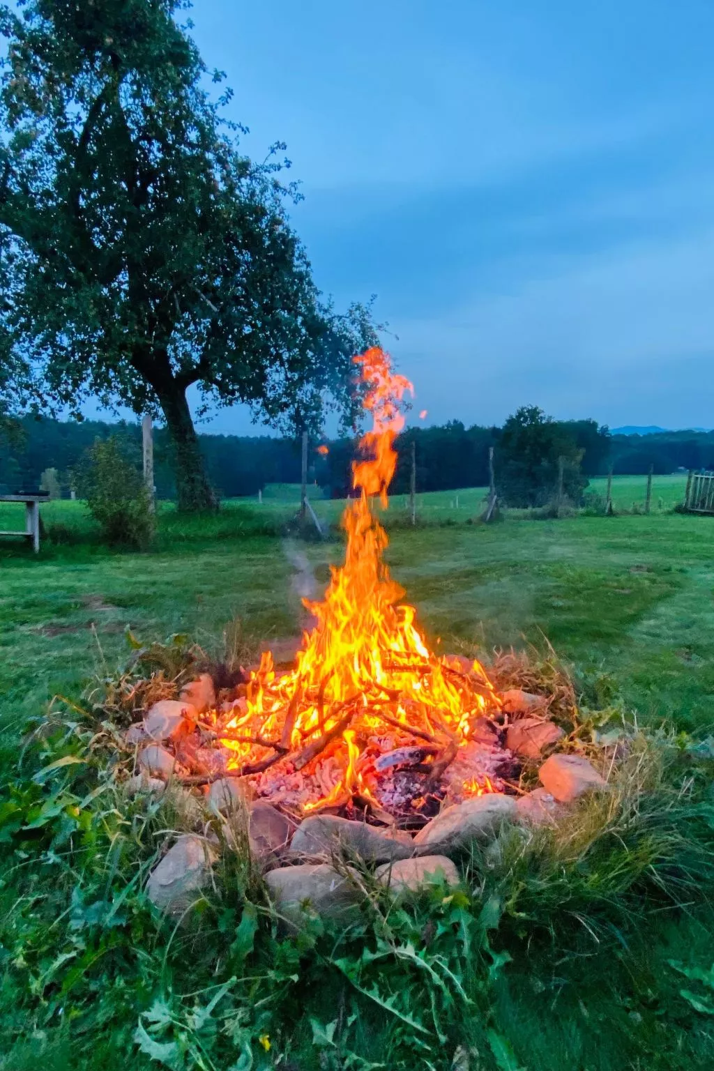 Kellerstöckl am veganen Bio-Lebenshof - Varm - the vegan Farm - Buiten