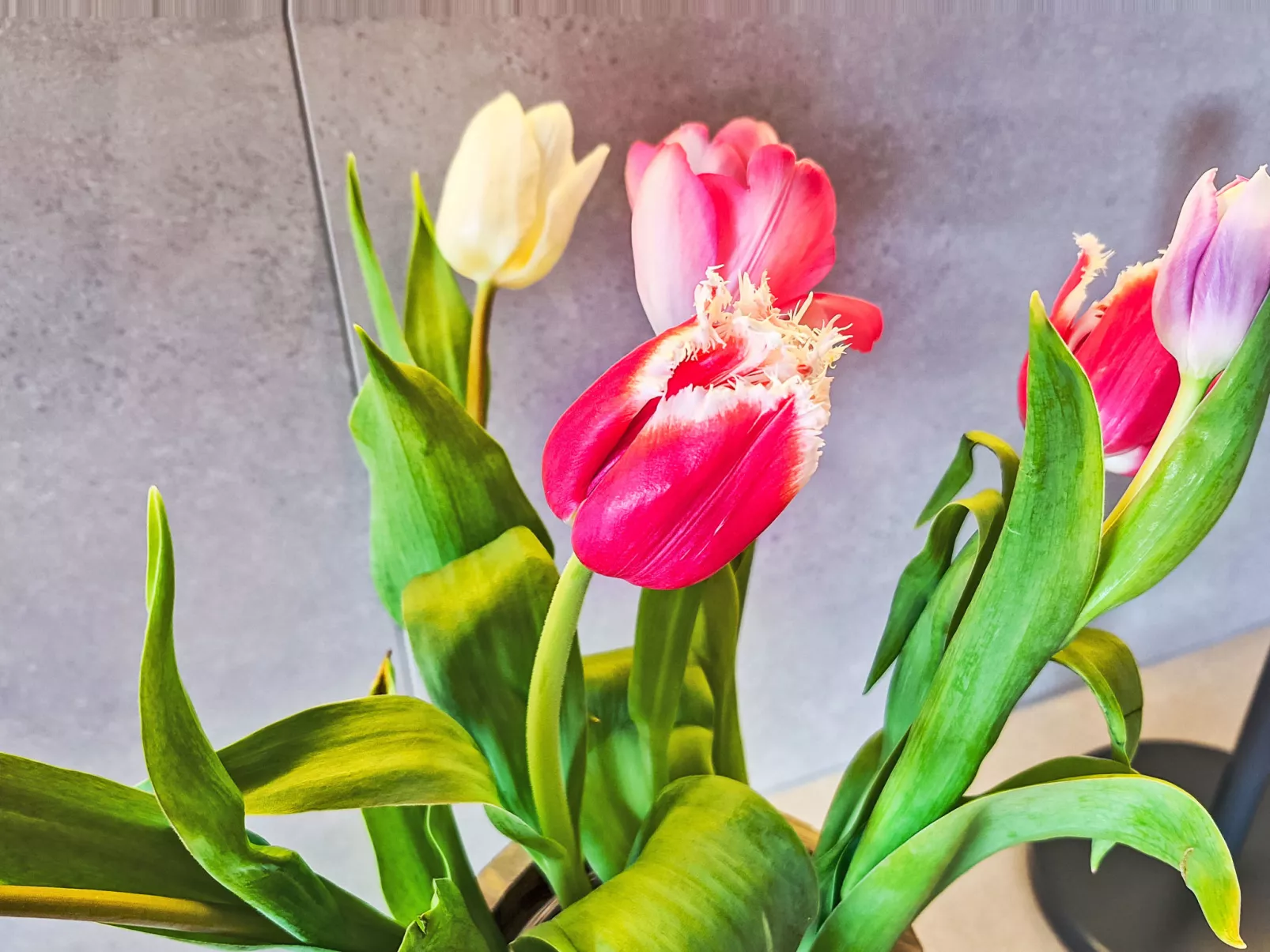 Panoramablick Tauern - Binnen