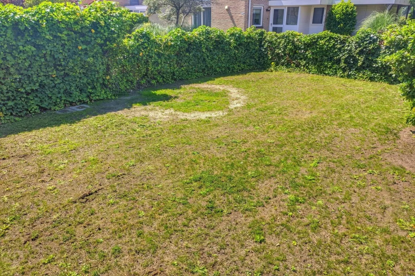 Scheldeveste 143 Zwin Breskens - Tuinen zomer