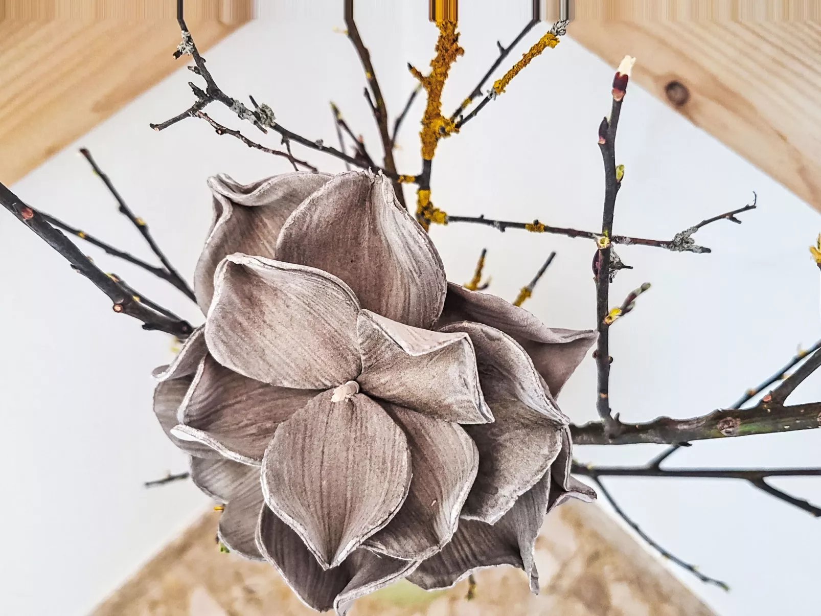 Panoramablick Tauern - Binnen