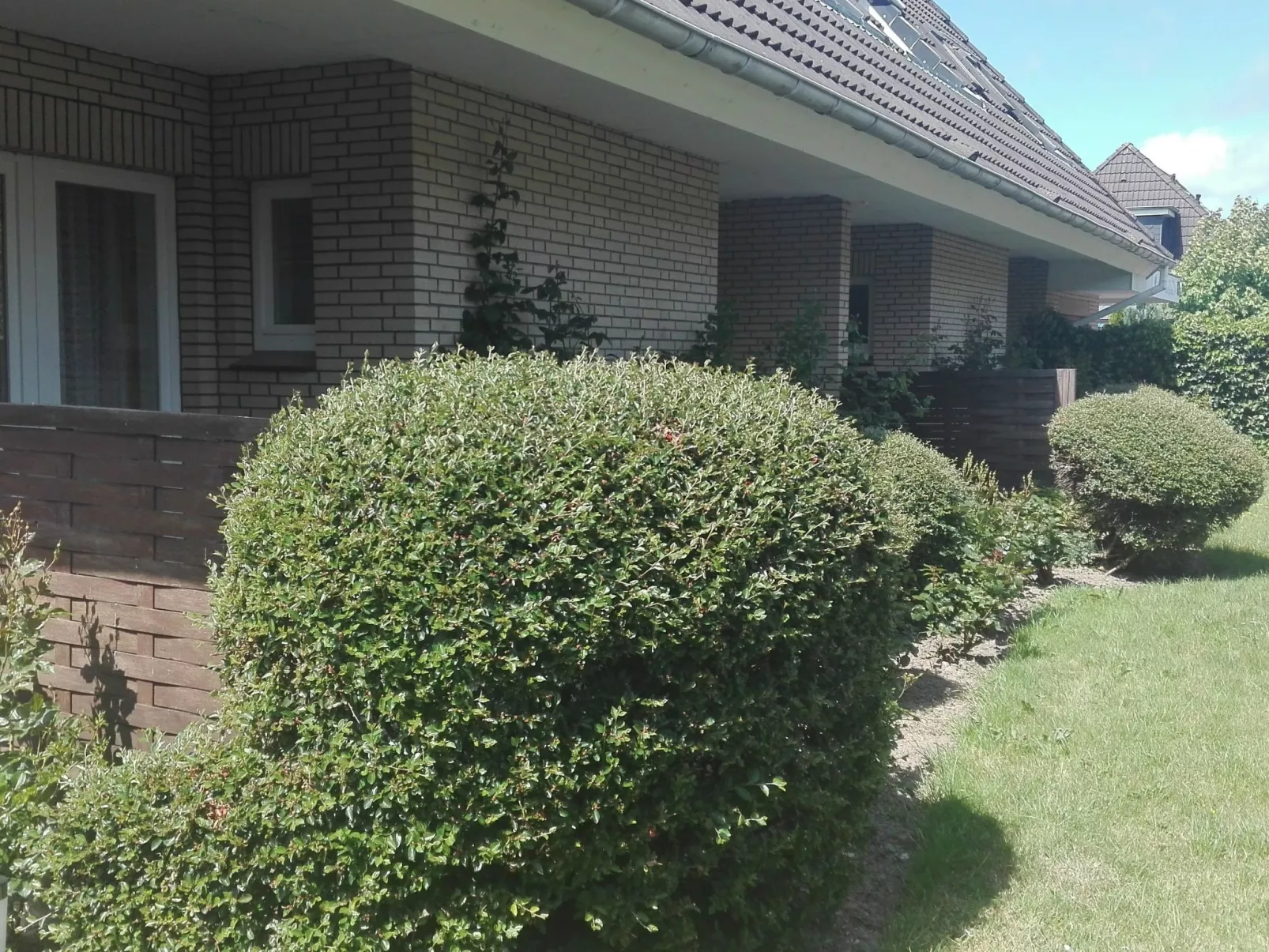 Haus Meeresbrise Wohn. Nr 1 mit Terrasse (copy) - Buiten