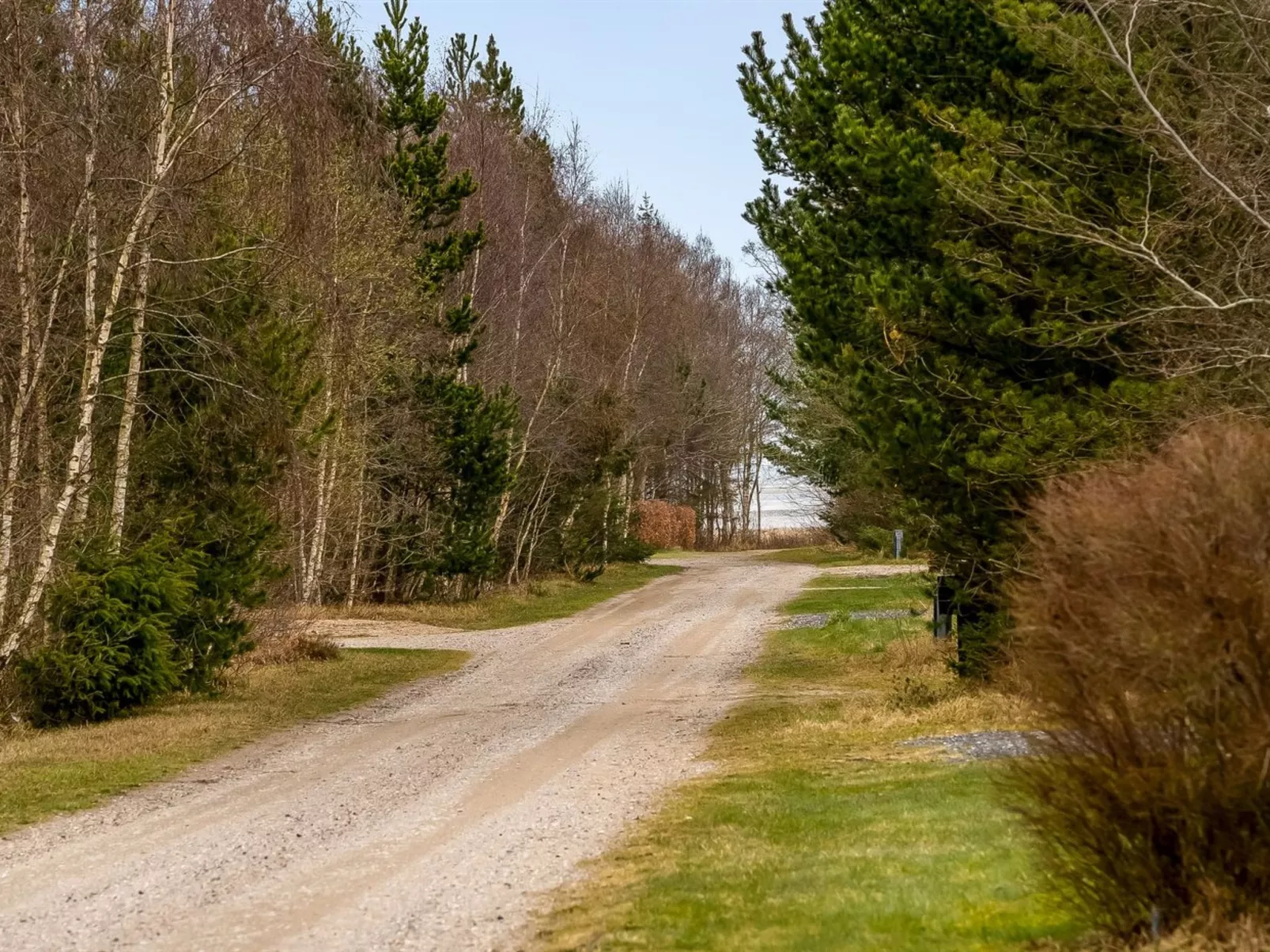 "Florida" -  from the sea