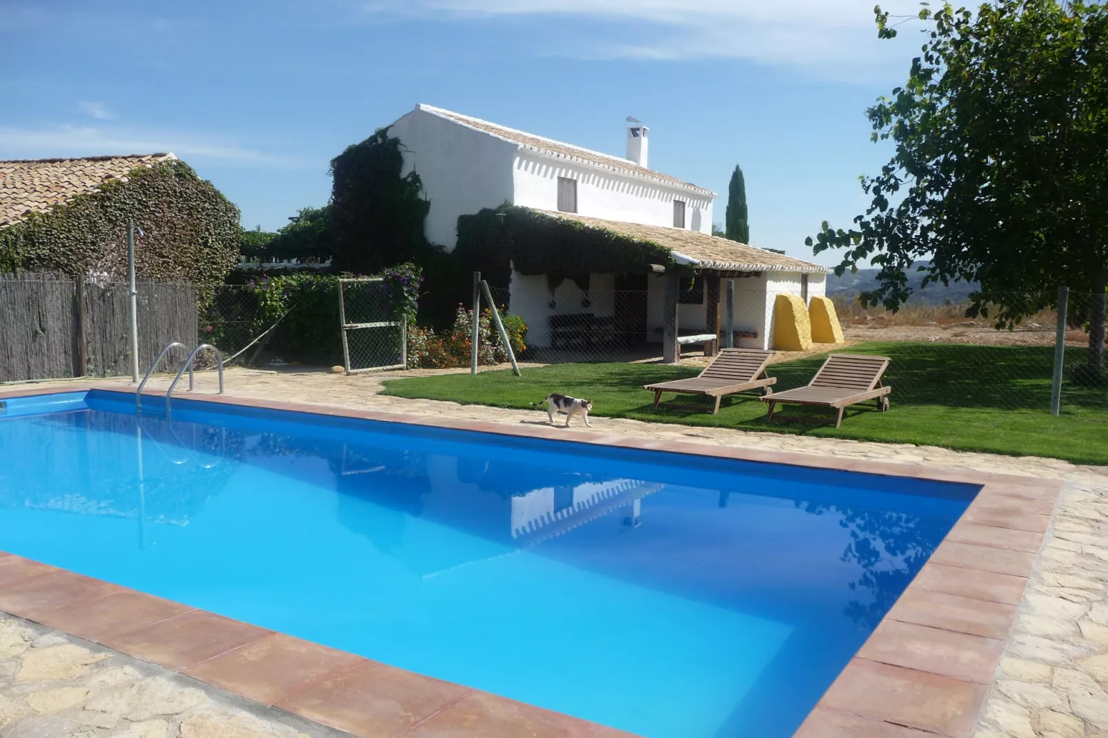 Cortijo El Morron - Zwembad